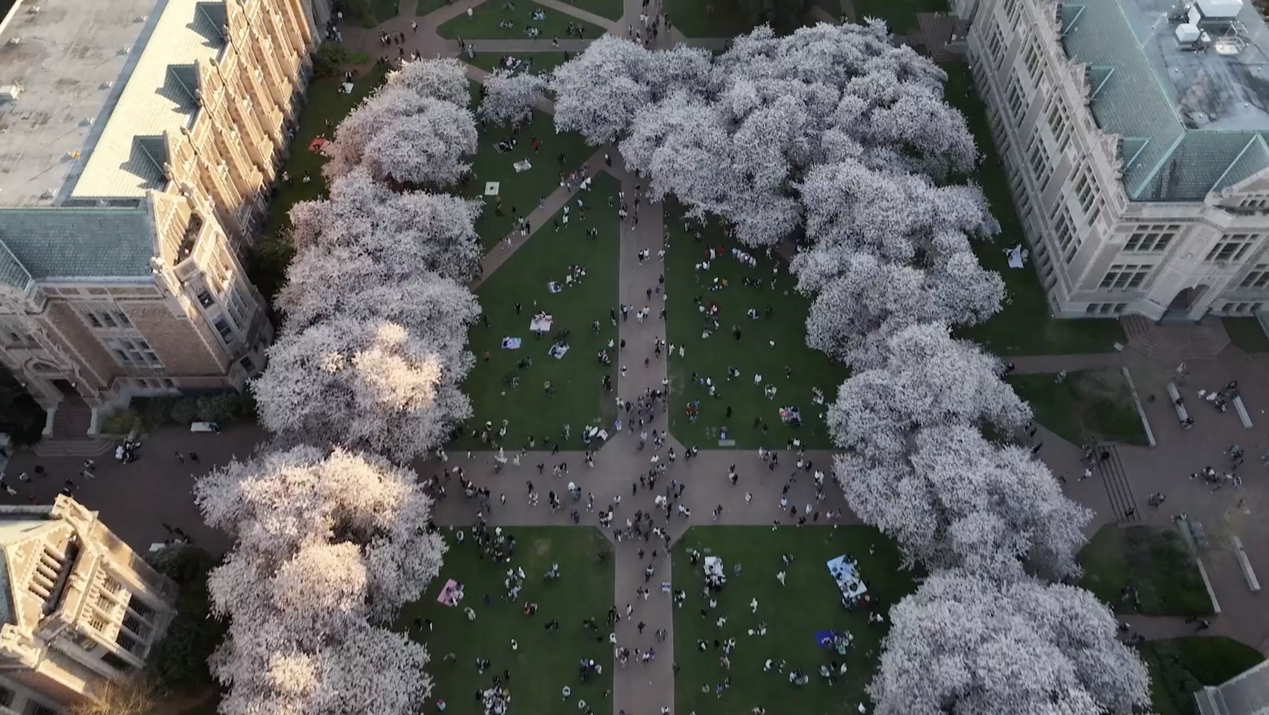 Screenshot 2026-04-06 at 11.00.47.png