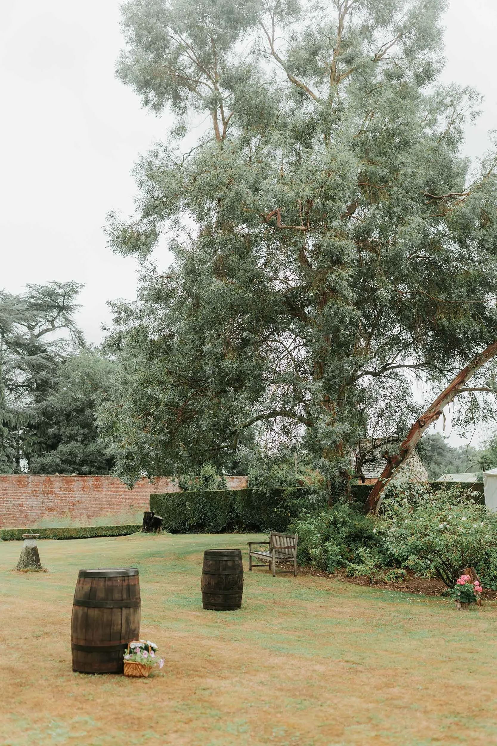 A large tree with green foliage over a grassy area, with wooden barrels, a bench, and flowers in pots nearby, surrounded by a brick wall and hedges.