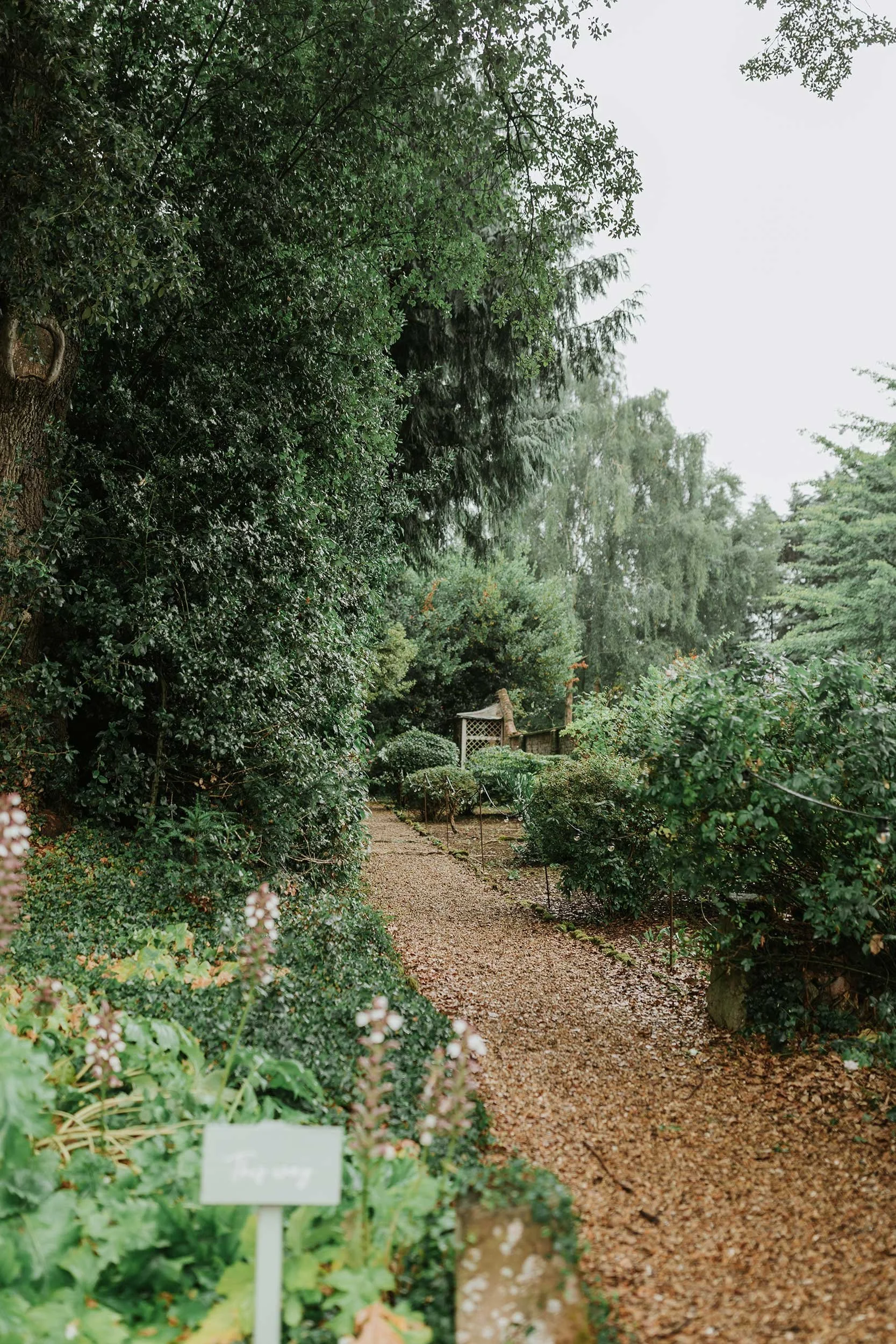 A muddy garden path surrounded by dense green foliage and trees, with small sign in the foreground.