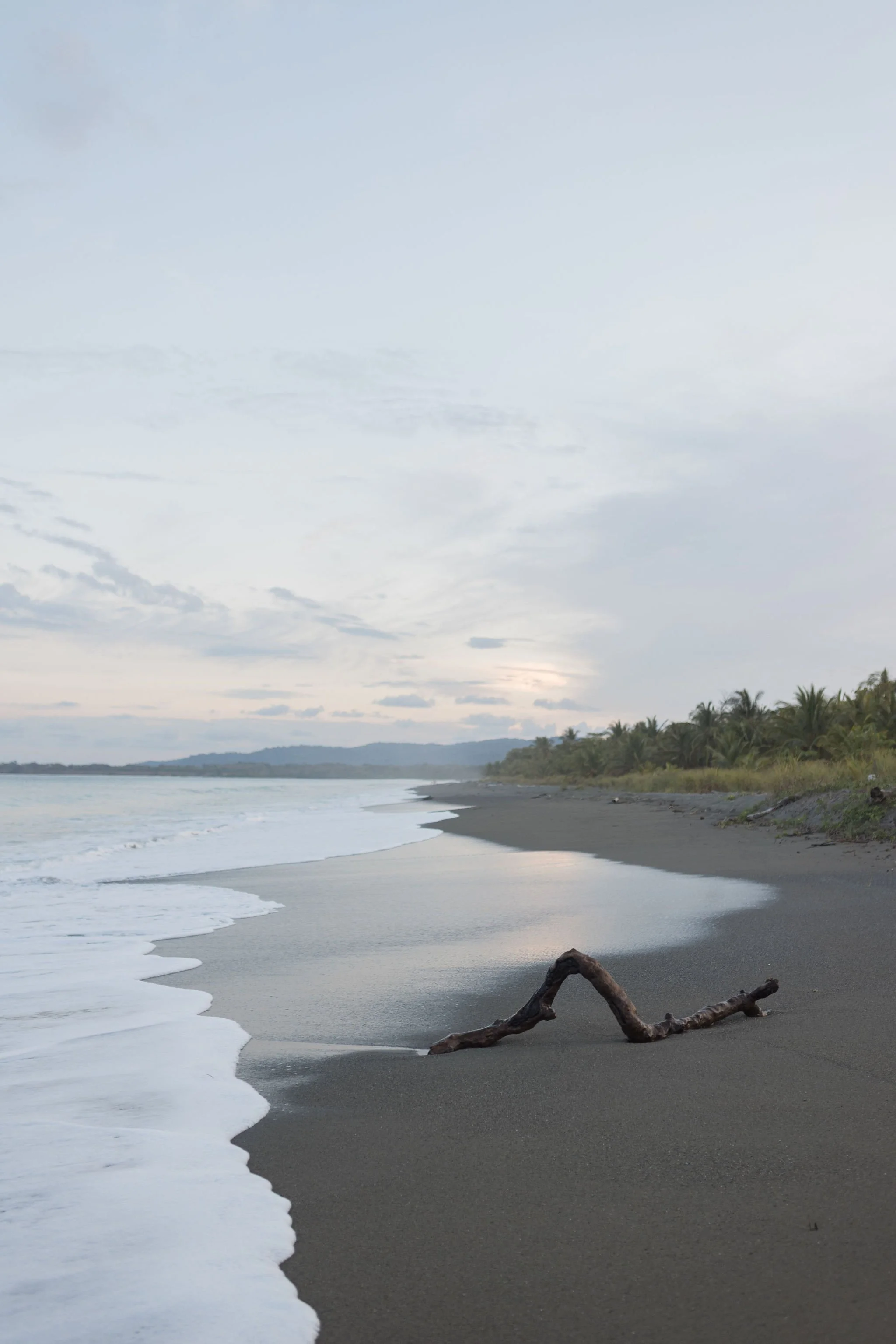 A serene beach with dark sand, gentle waves washing ashore, and a piece of driftwood in the foreground. The sky is overcast with some clouds, and there are trees and hills in the distance.