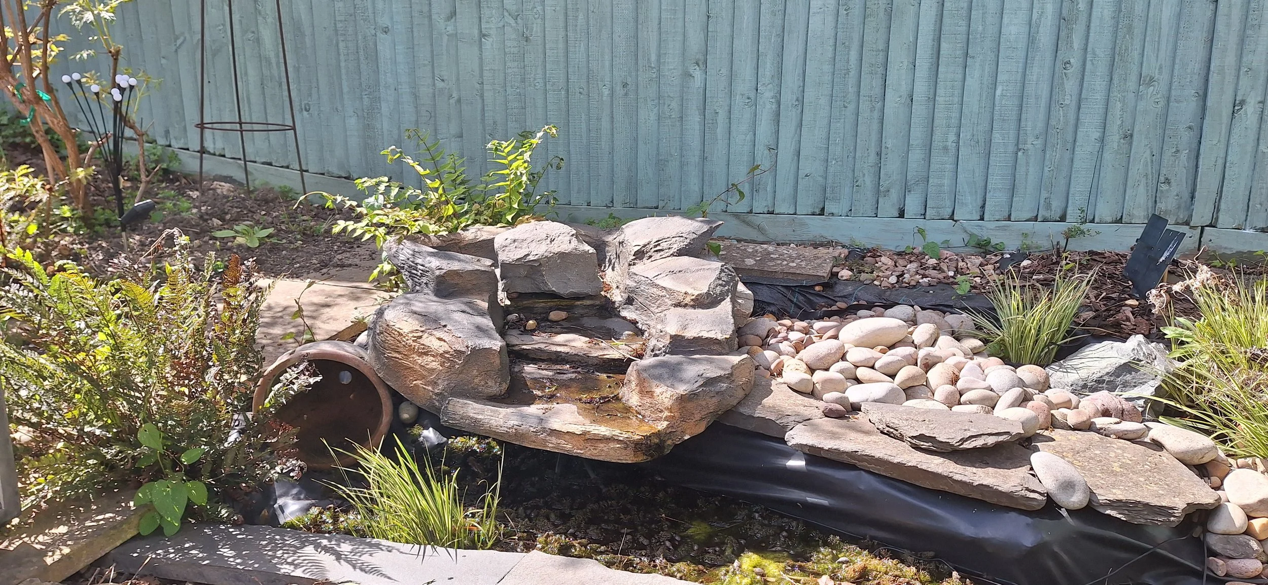 Pond Planting Installed