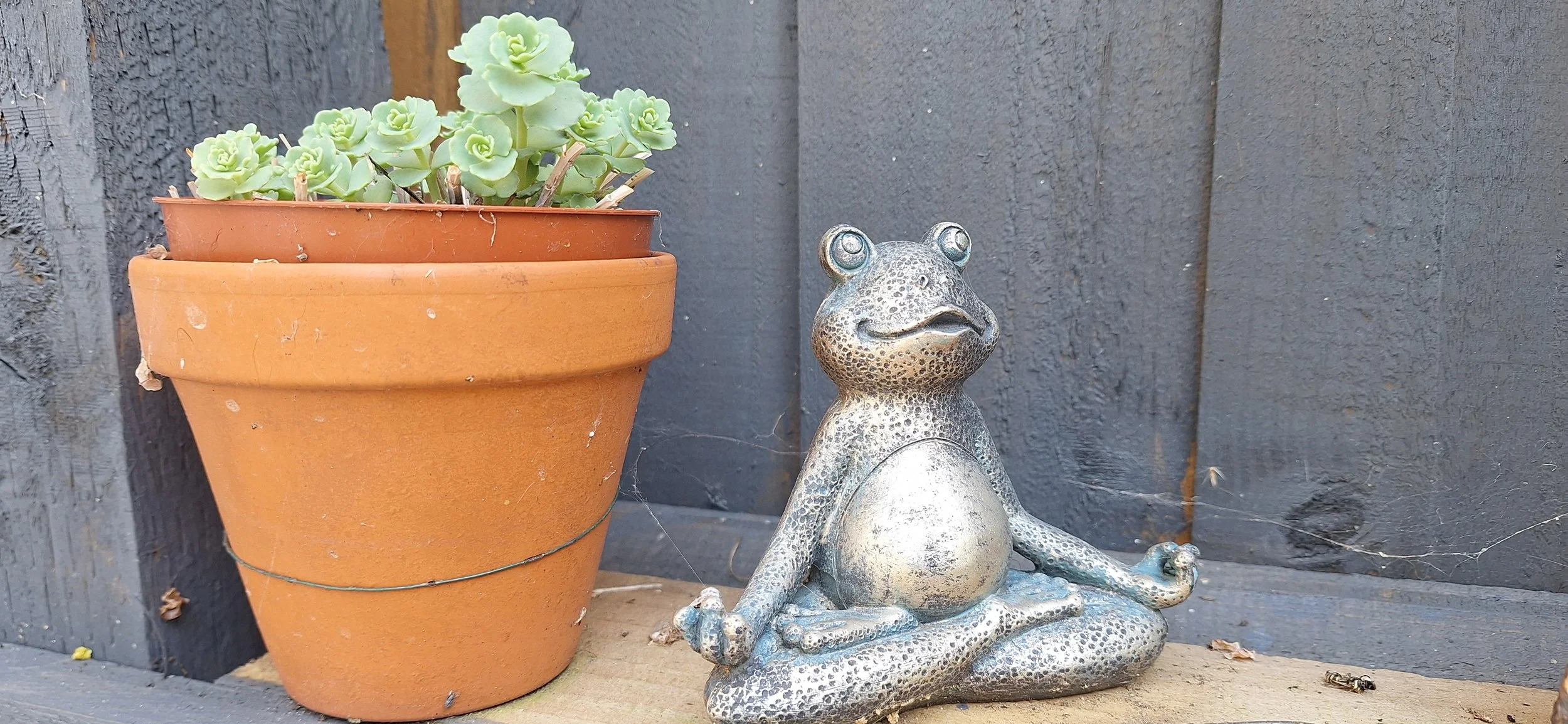 Pergolas, arbours and gazebos: What’s the difference?