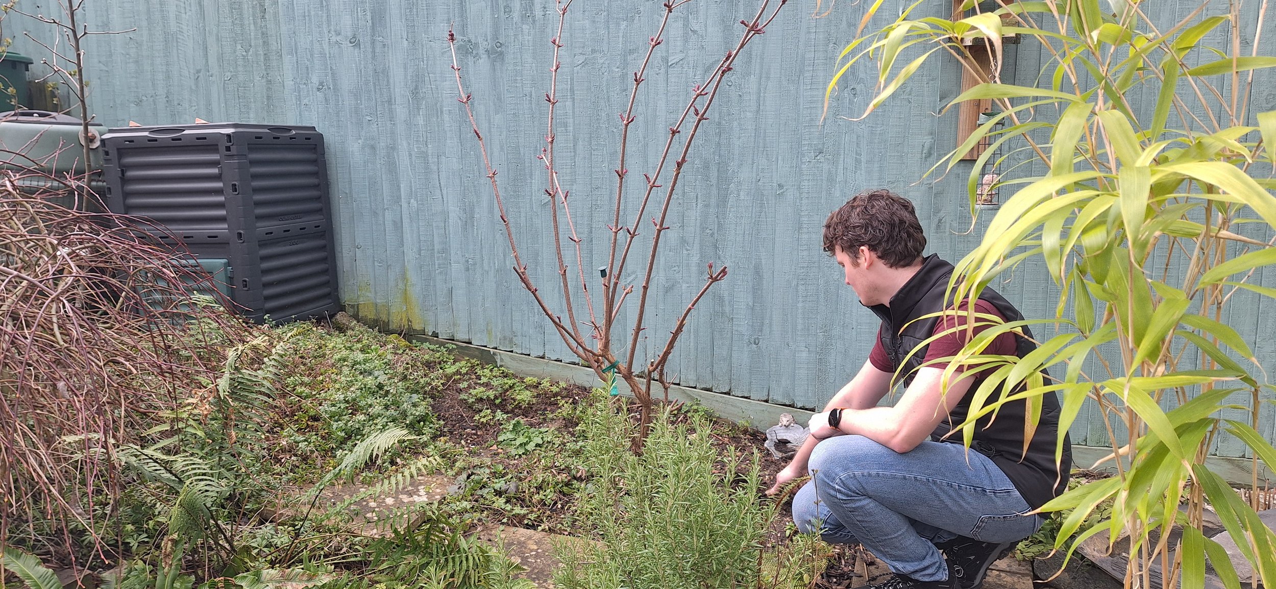 Should I stay or should I go: deciding to keep, move or remove a plant from your garden.