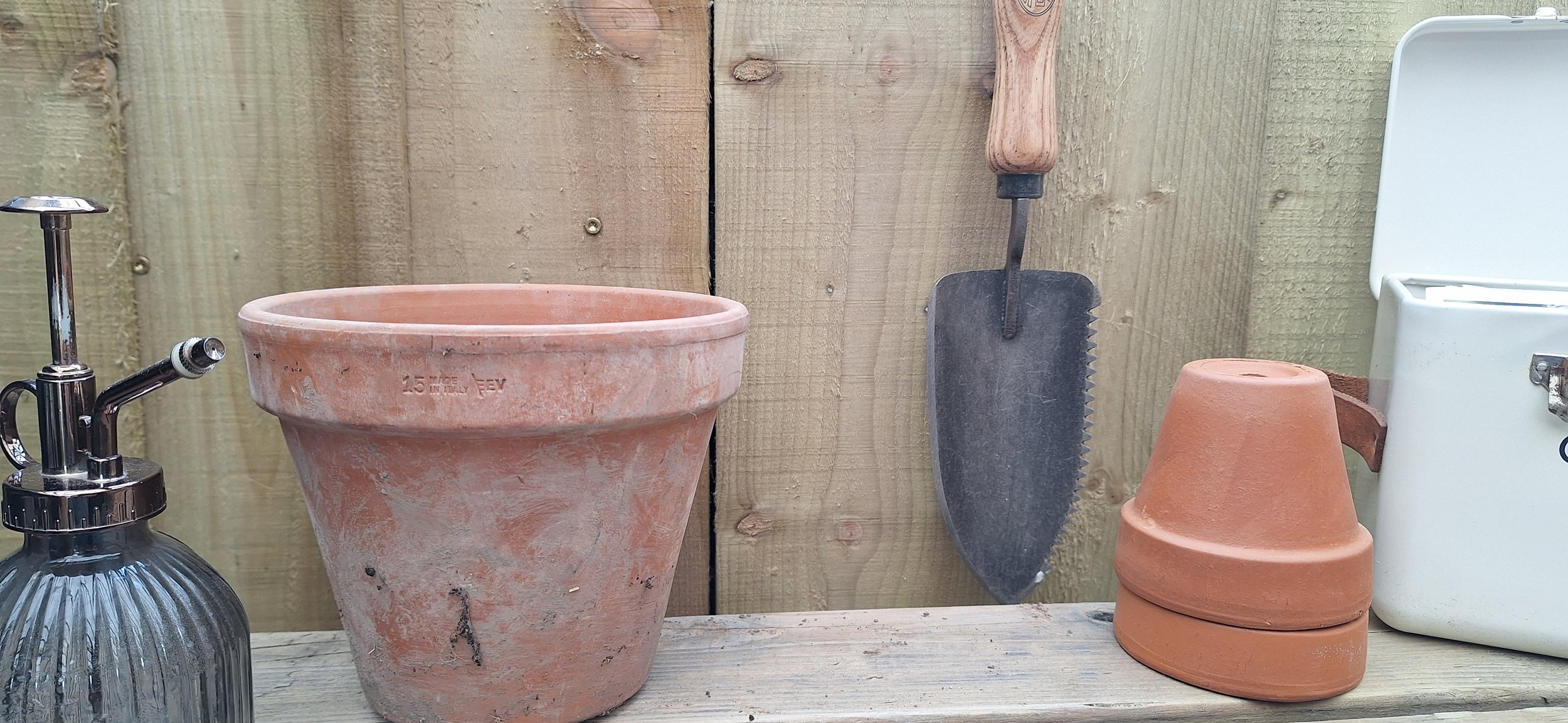 Garden Maintenance: February