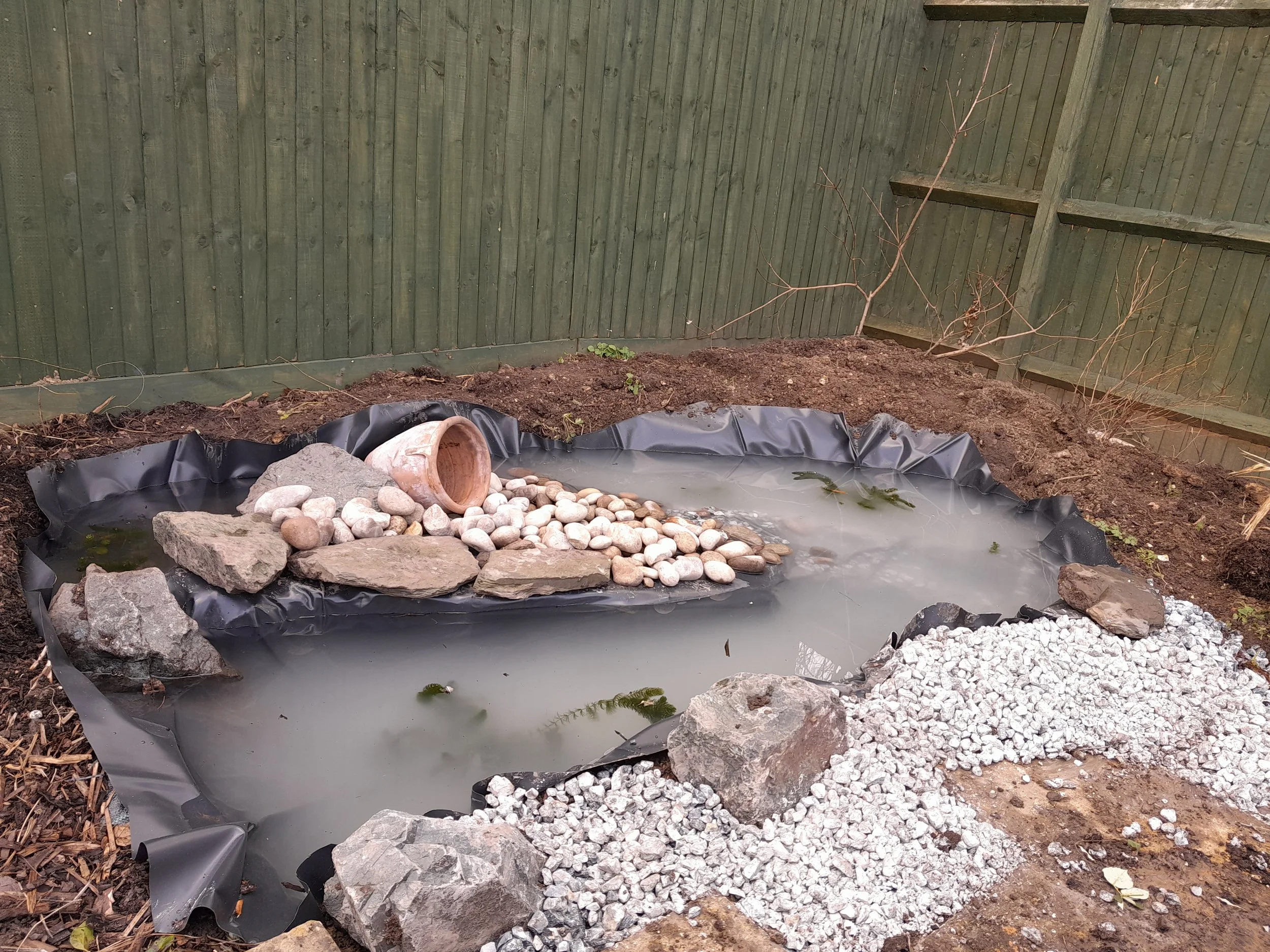 Newly Dug Pond