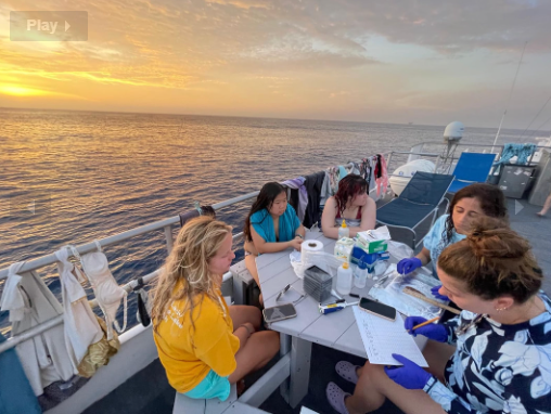 Group of young women sitting on a boat deck at sunset, engaged in writing or drawing on paper with boats and ocean in the background.