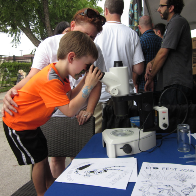 A young boy with face paint of a skeleton looks through a white microscope at an outdoor science event, with adults gathered around.