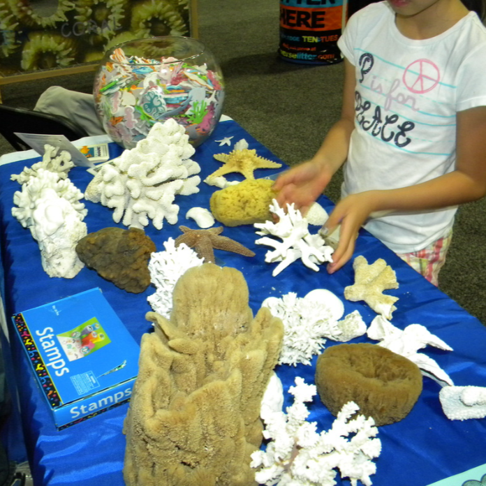 A child browsing seashells and coral decorations on a table at an indoor craft or souvenir shop.