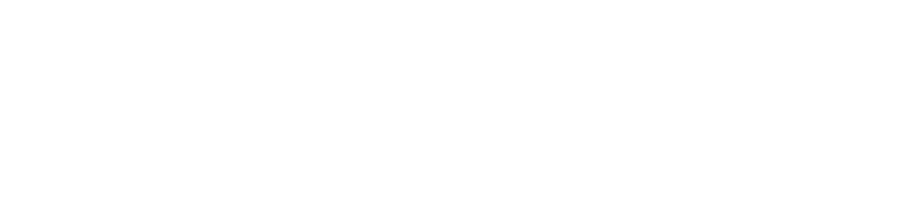 Barnes Runners