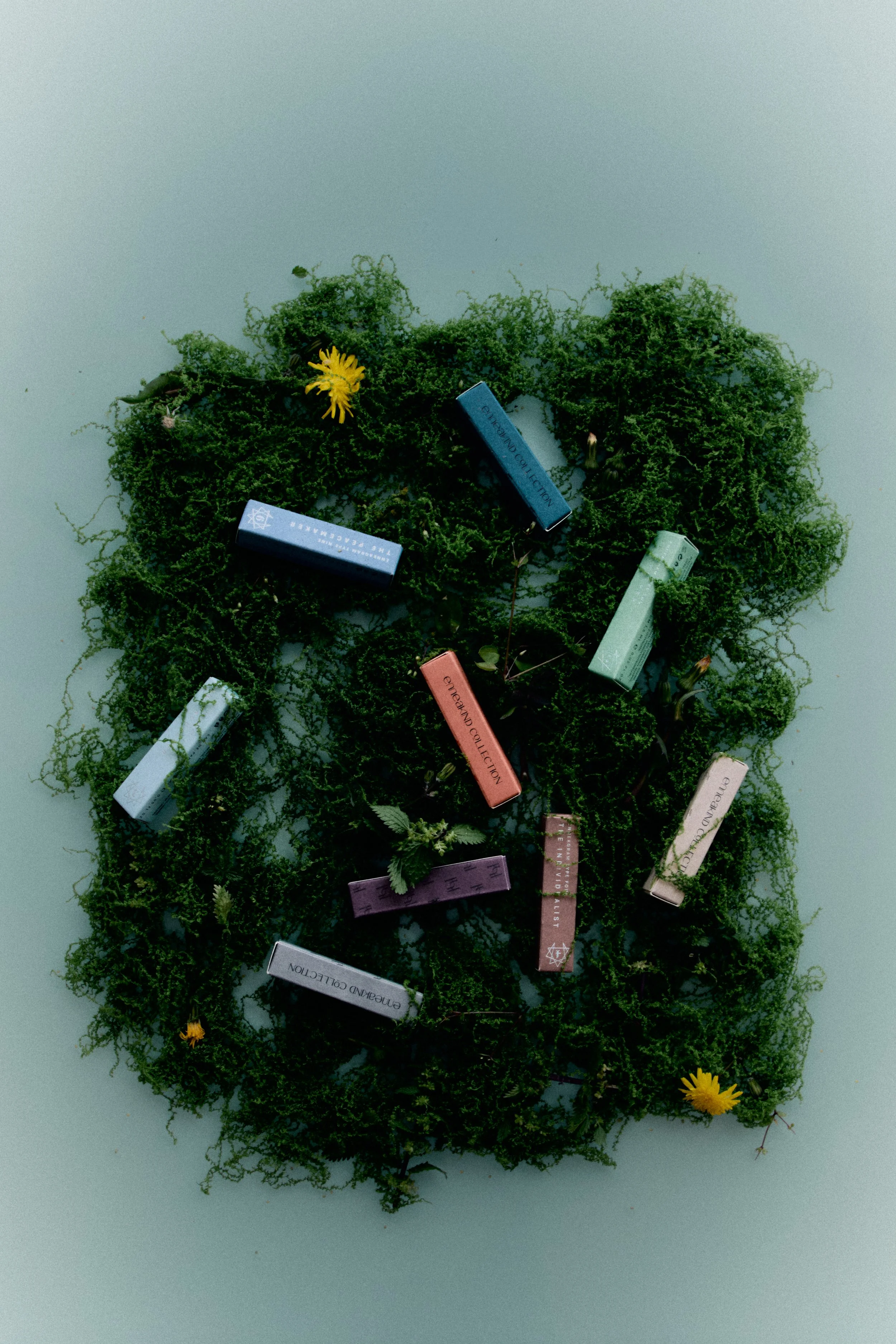 House of helios0306.jpg