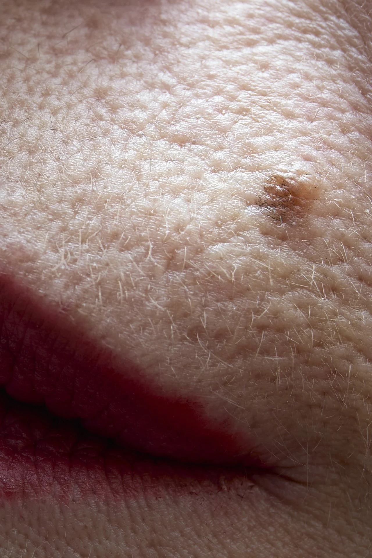 Ascensor Sara Bravo 5.jpg