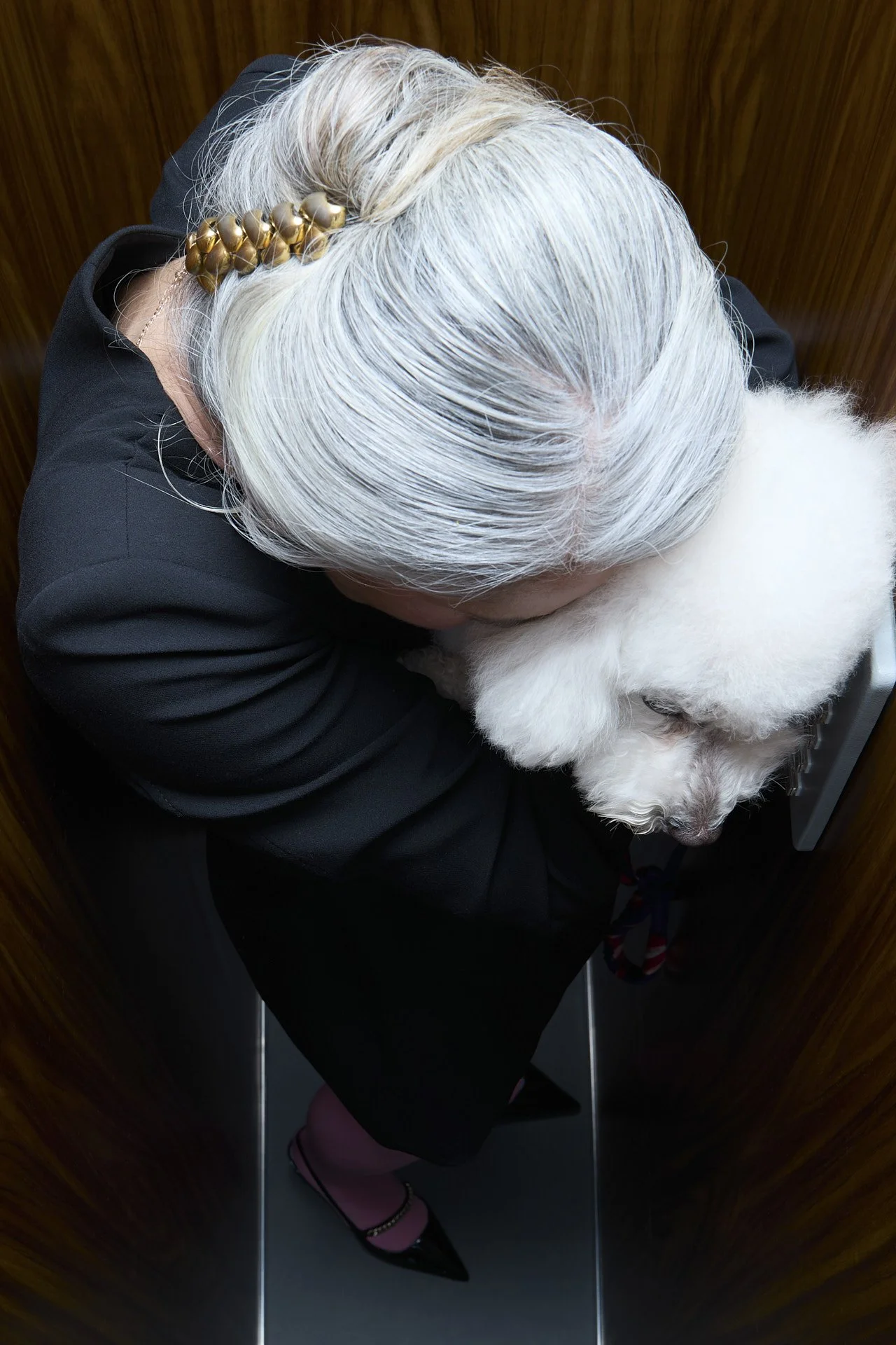 Ascensor Sara Bravo 15.jpg