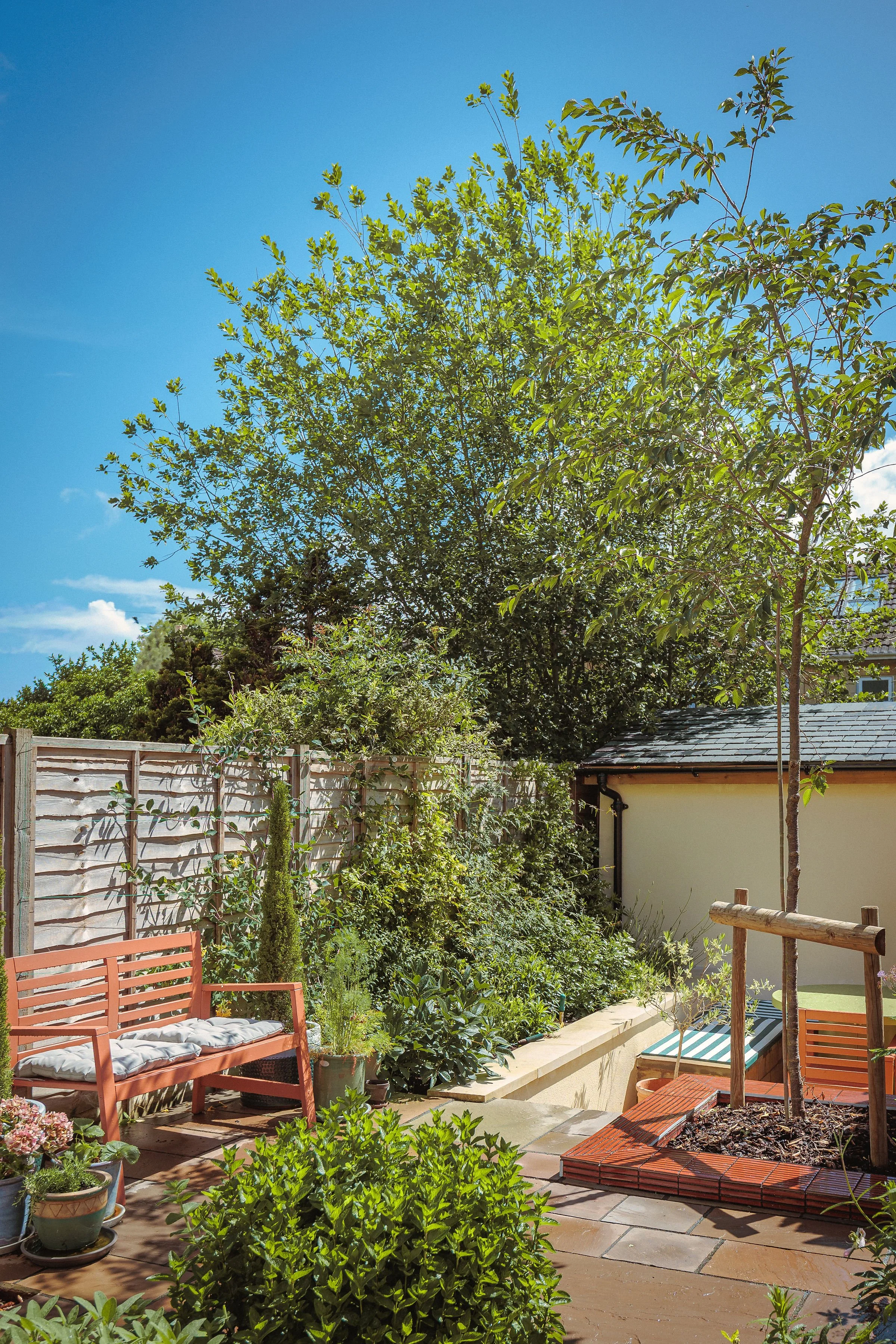 A backyard patio with a wooden bench, potted plants, a garden bed, a fence, trees, and a small building under a blue sky with some clouds.