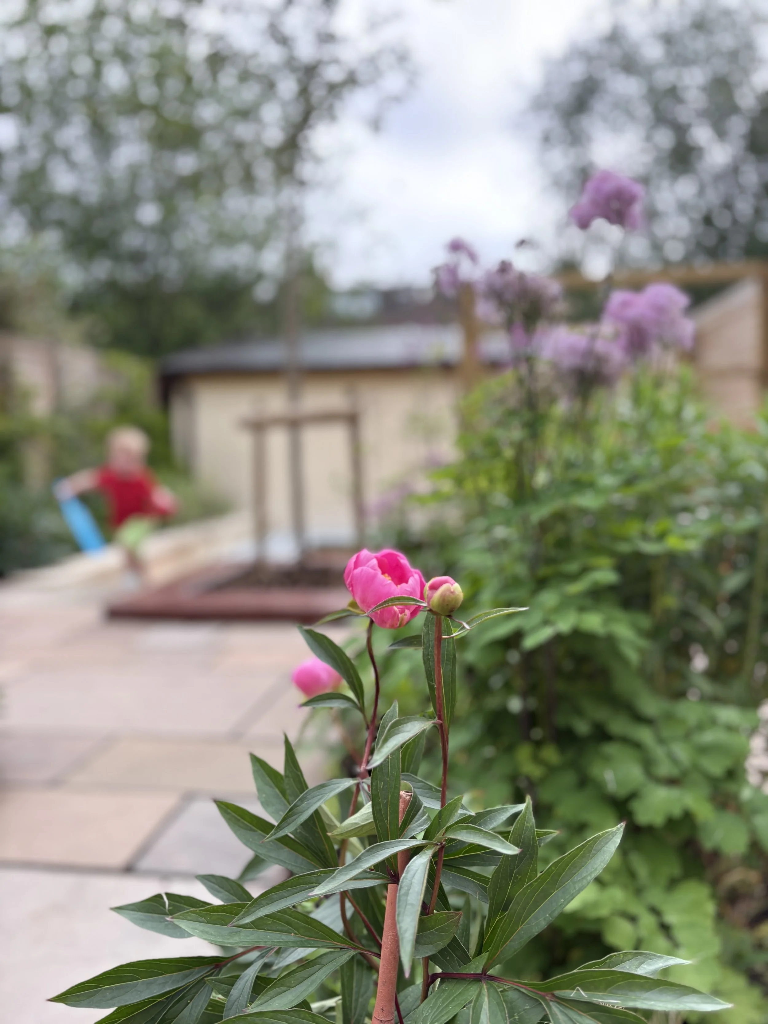 IMG_1956.jpeg