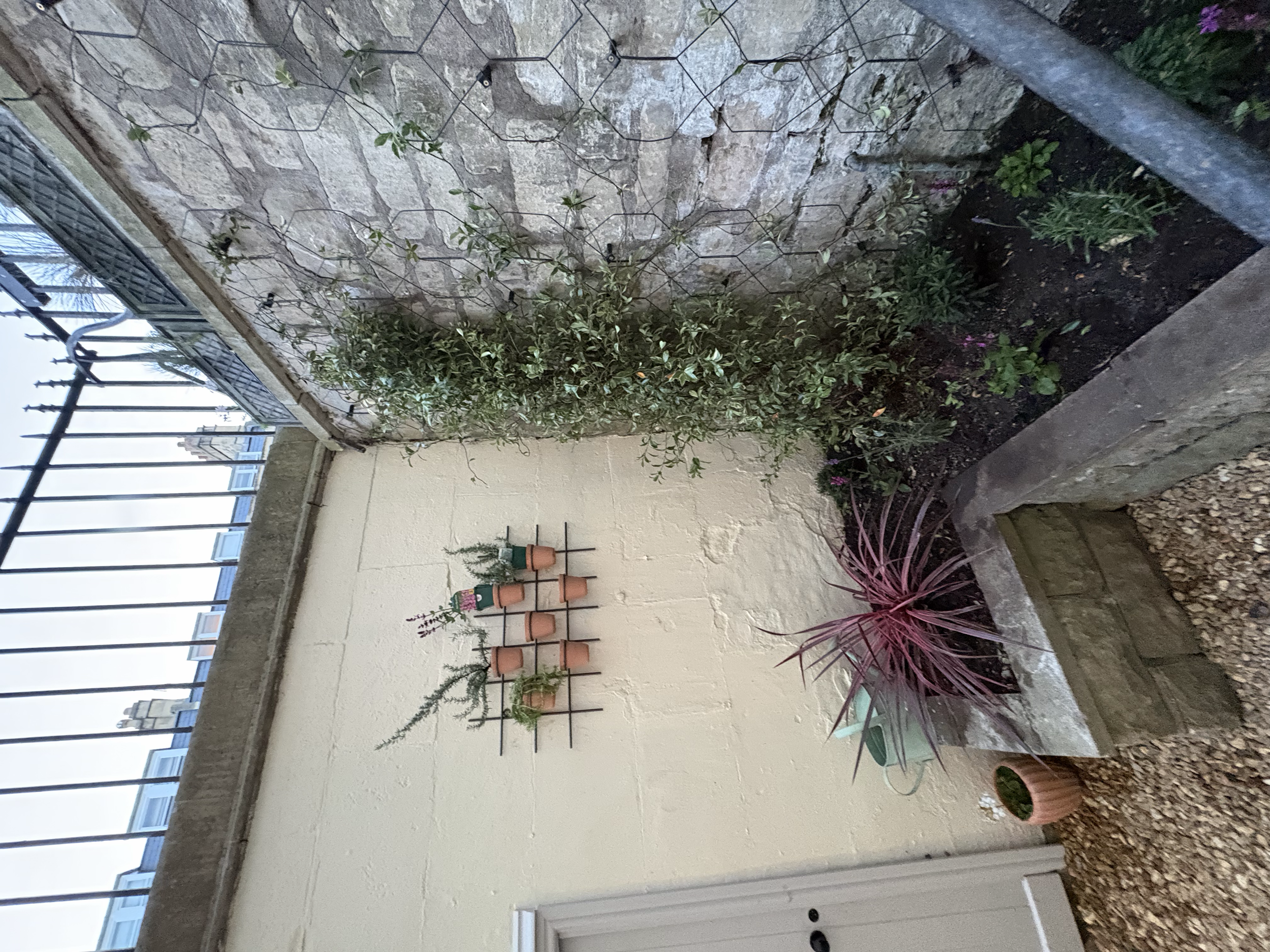 After: Star jasmine planted. Will hopefully cover the whole wall within a year or two!
