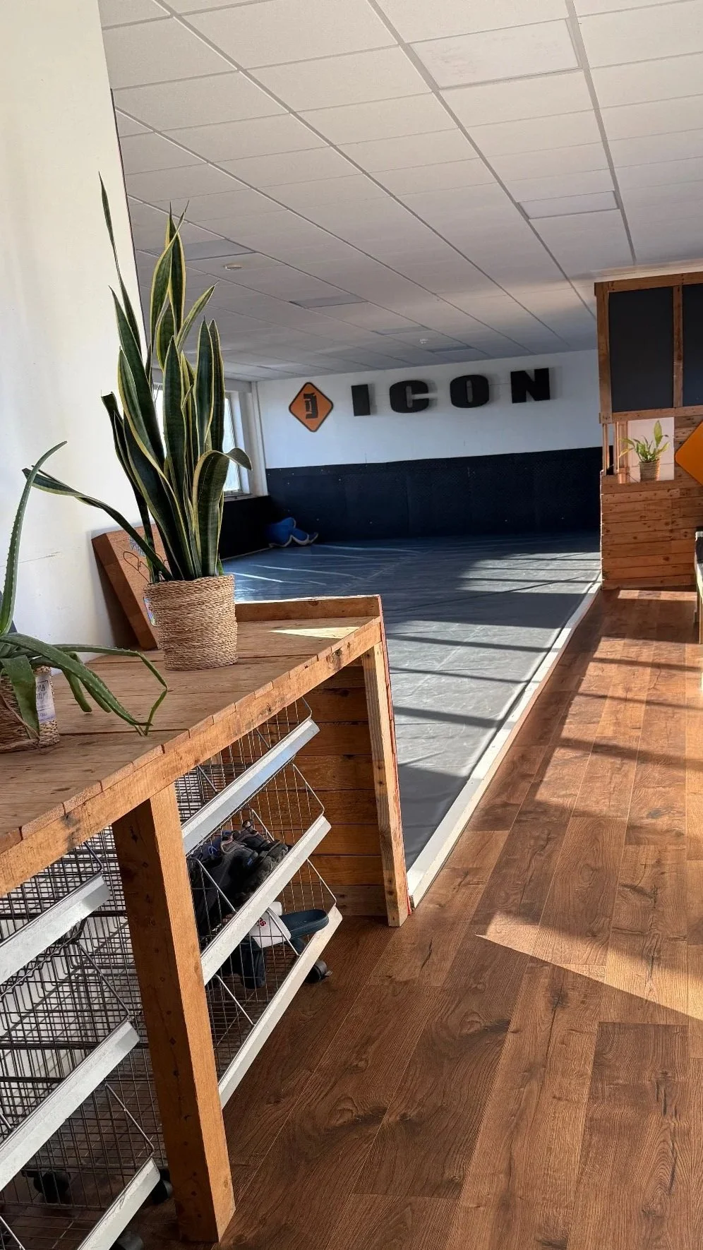 Indoor gym with a black padded floor, large plant on wooden shelf, and large black letters spelling 'ICON' on the wall.