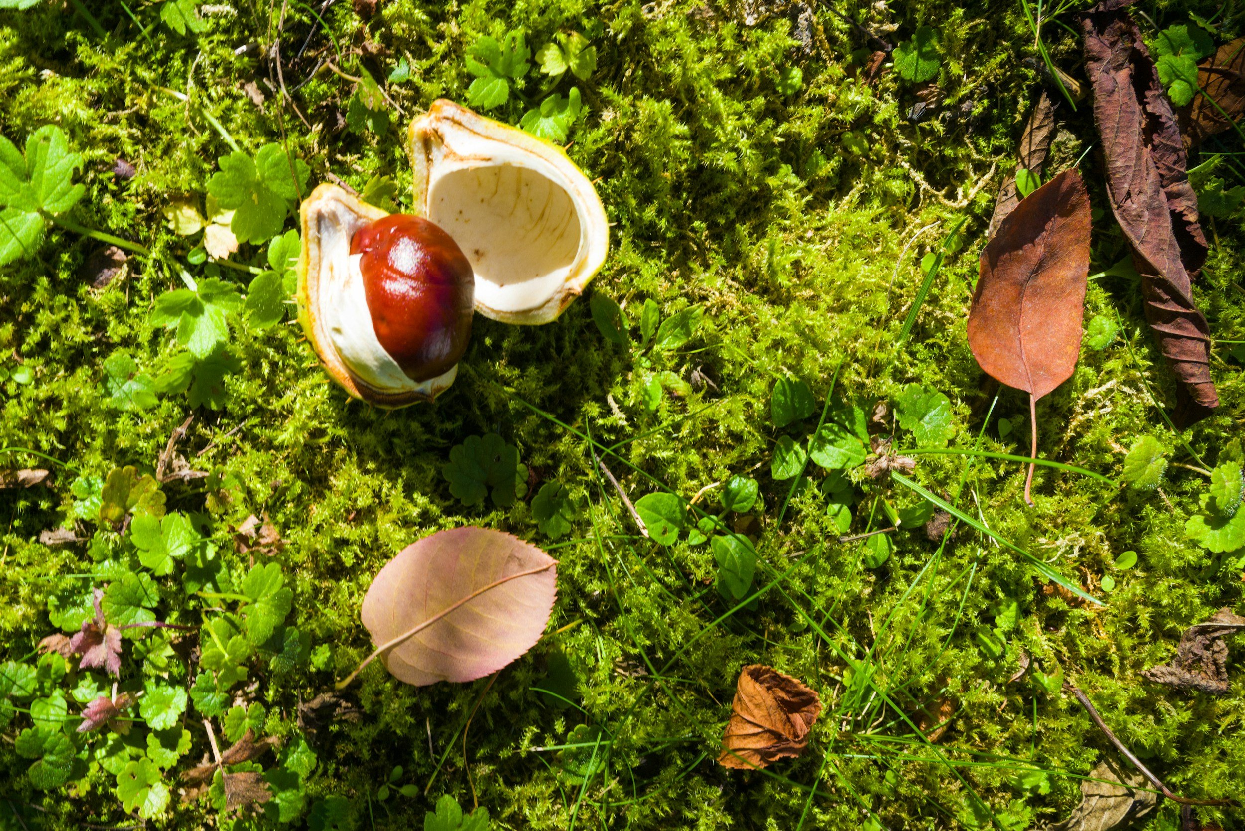 Halfway Through September: A Reminder to Take a Breath