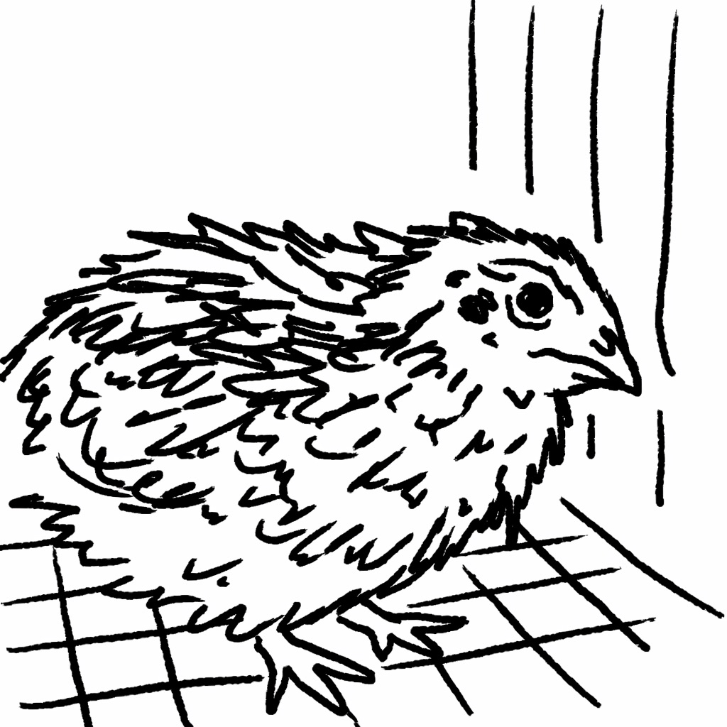 A line drawing of a bird inside a cage, looking towards the right.