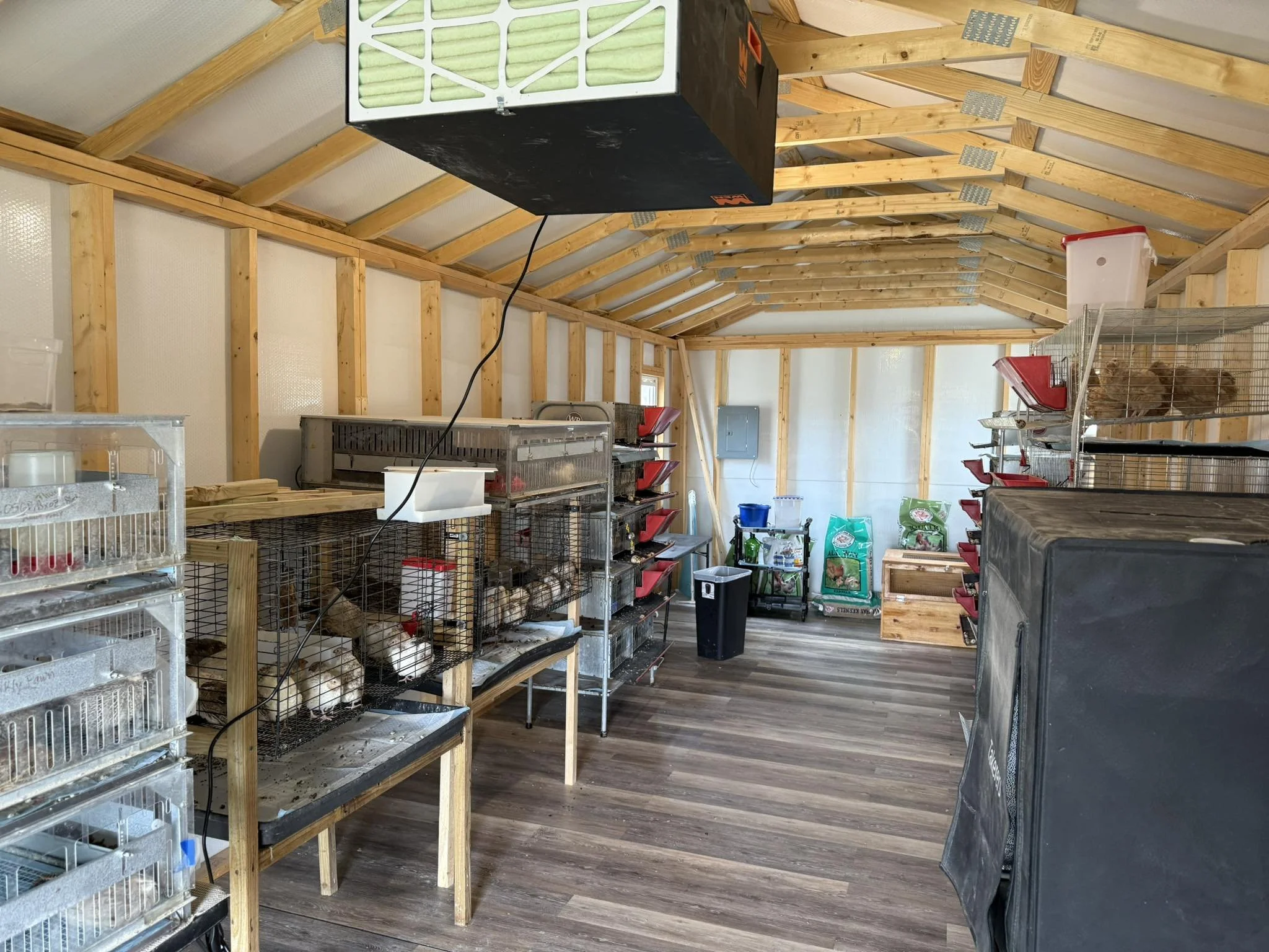 Interior of a wooden-frame building with cages and supplies, likely used for housing small animals or birds.