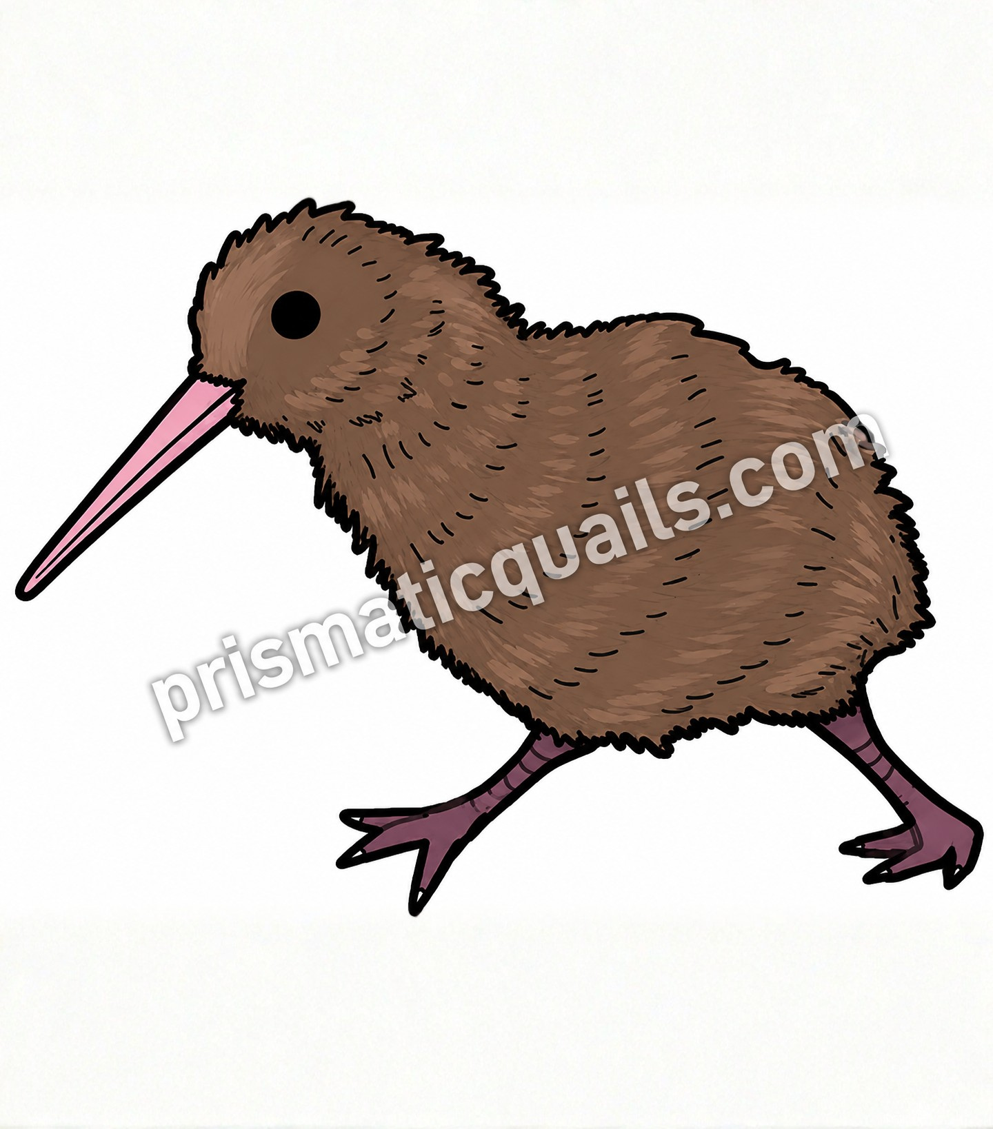 Kiwi sticker 2 inch
