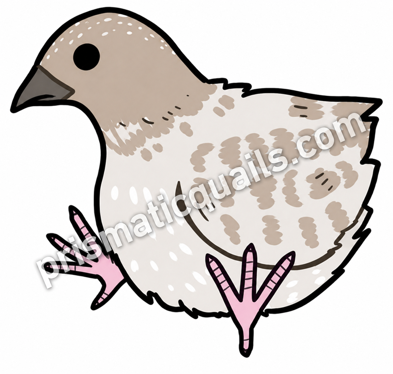 cartoon white and gray quail with legs out sticker.png