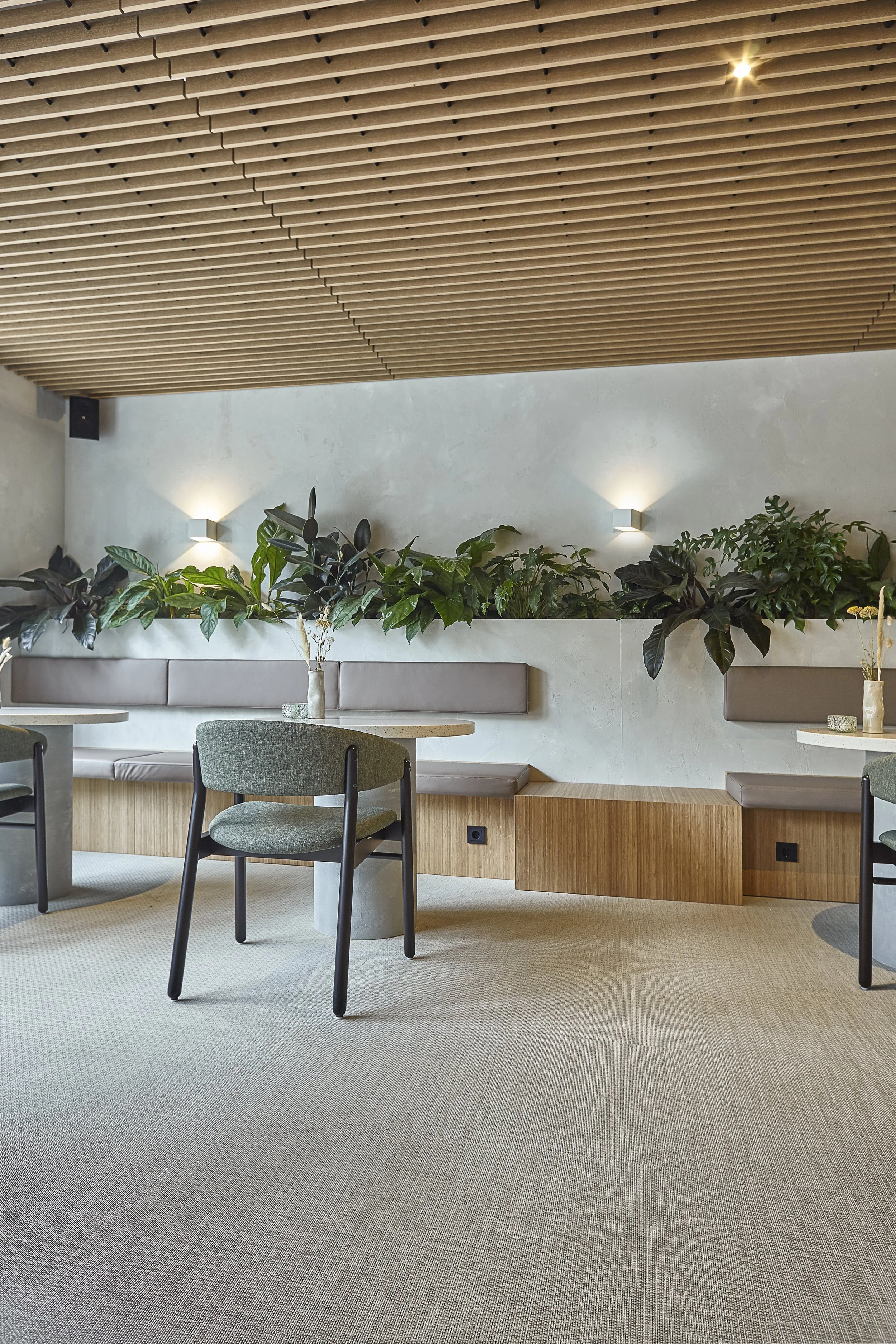 IMG_9640 zwkoeler.jpeg