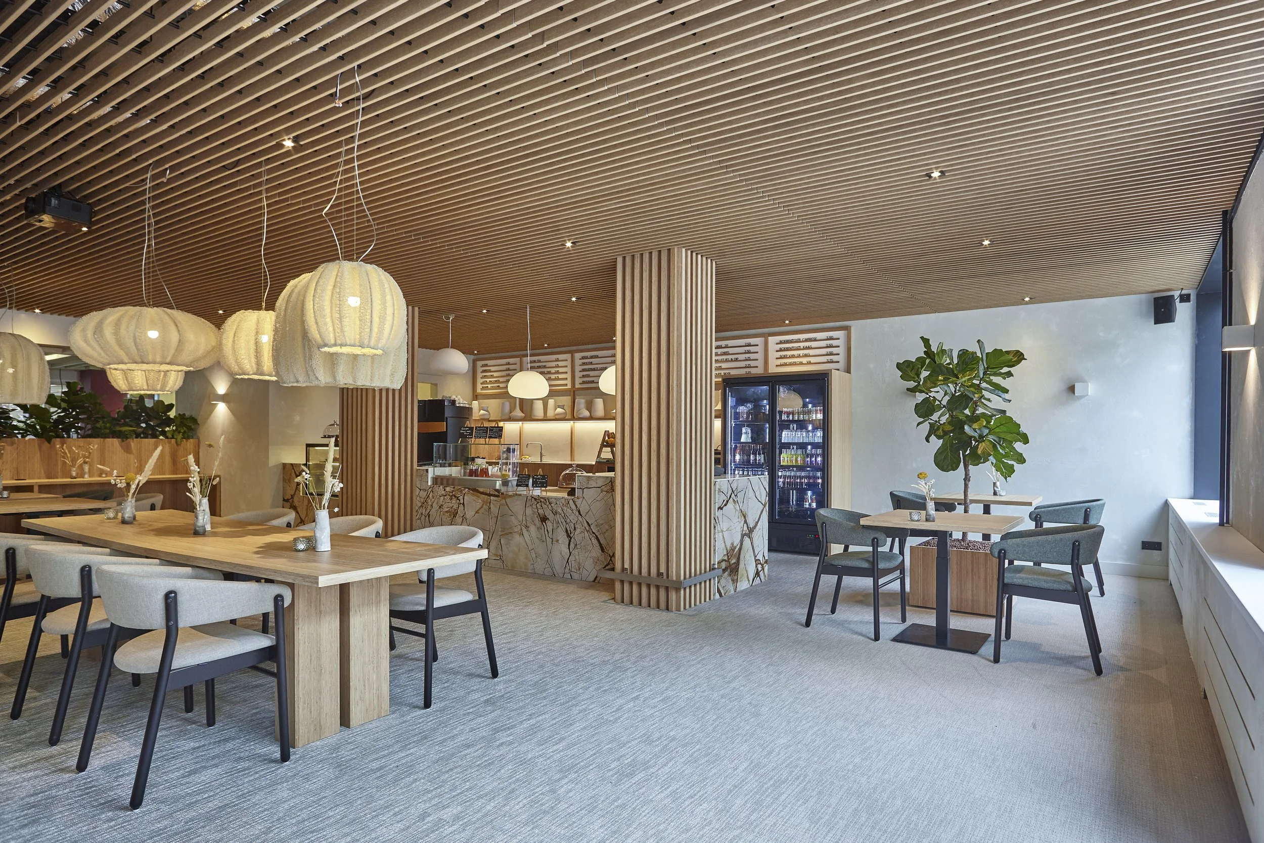 IMG_9622 zwkoeler.jpeg