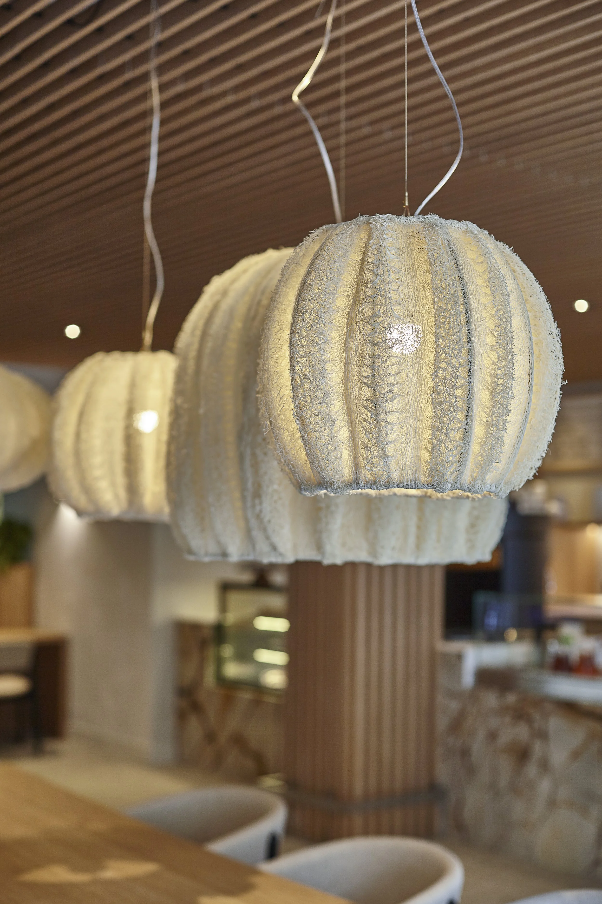 IMG_9686 zwkoeler.jpeg