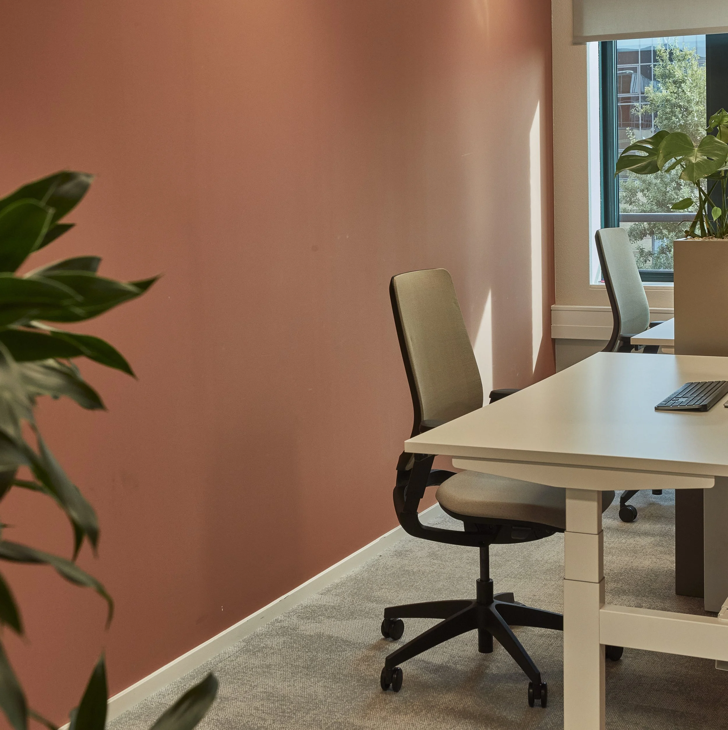 low 231018-SMT15558.jpeg