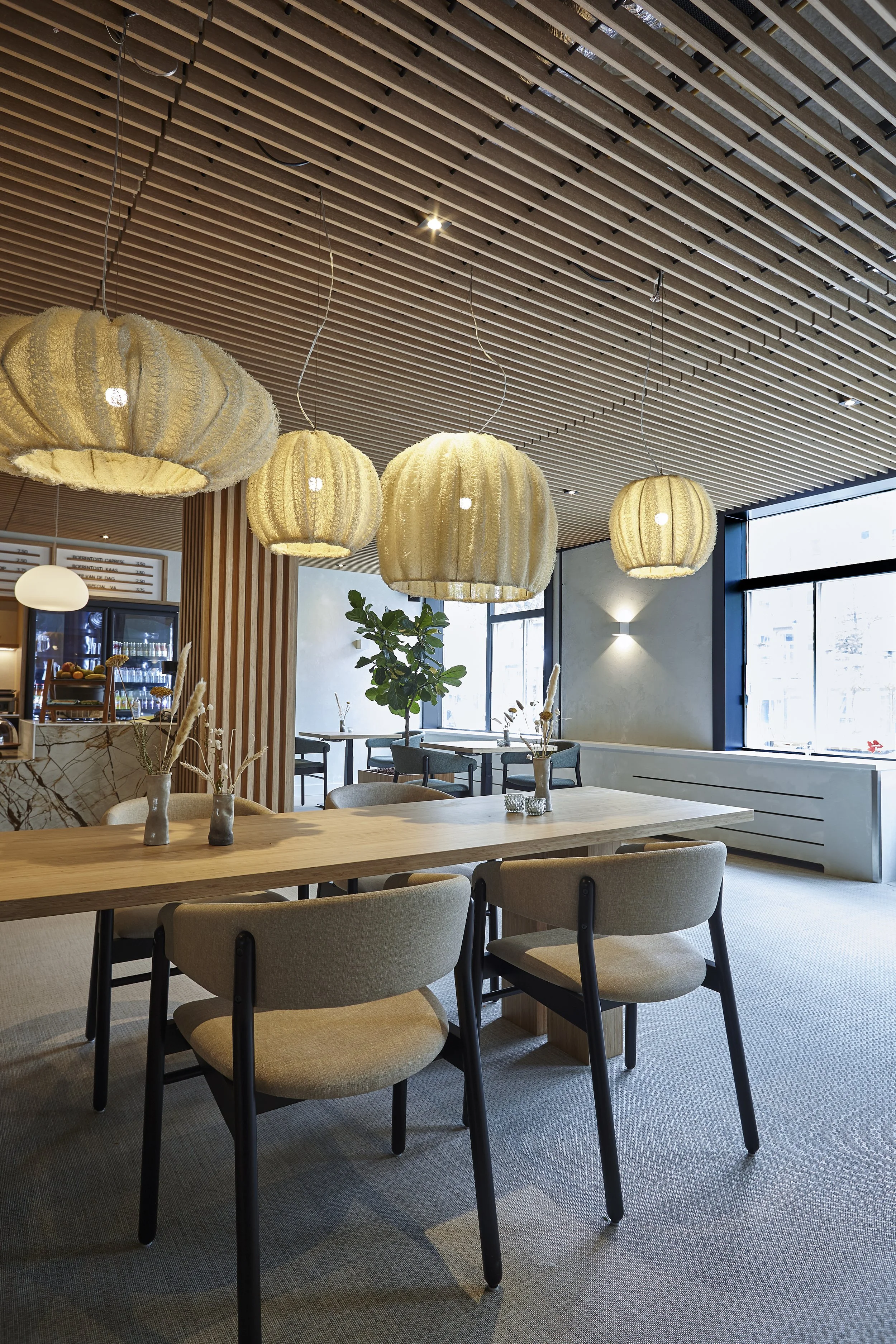 IMG_9629 zwkoeler.jpeg