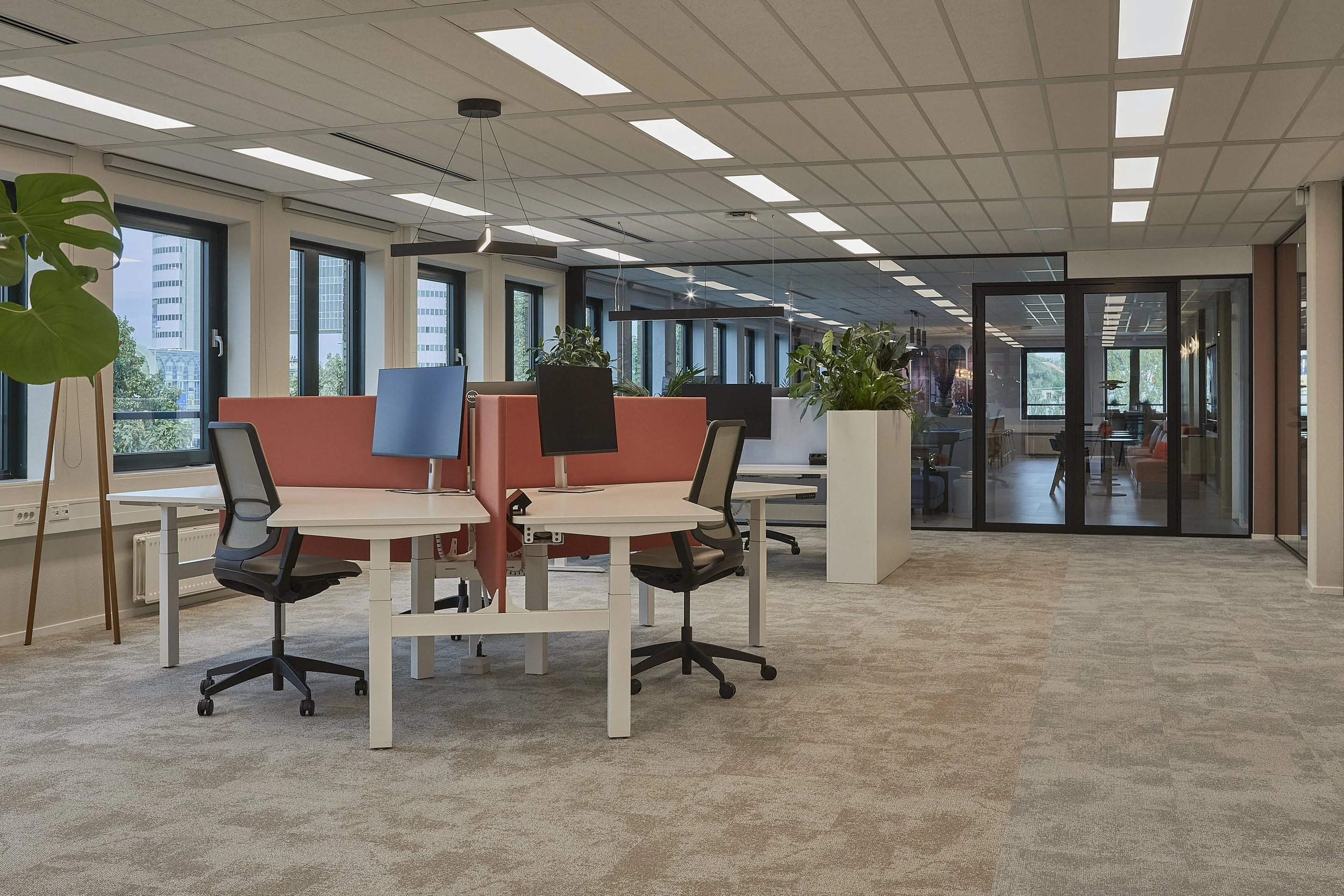 low 231018-SMT15563.jpeg