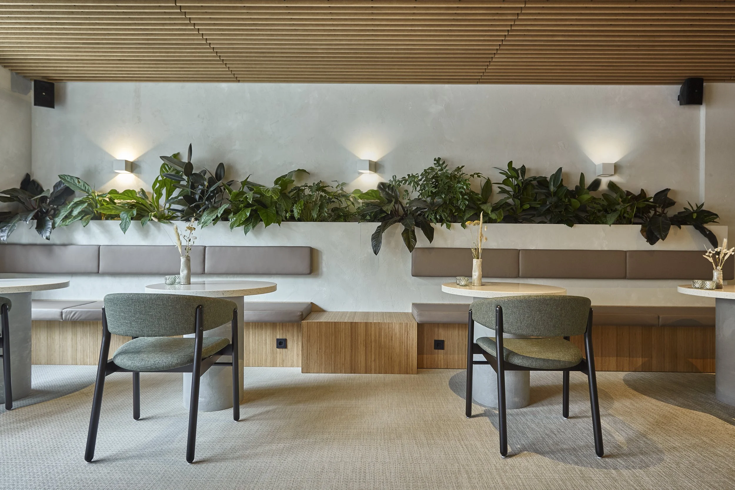 IMG_9637 zwkoeler.jpeg