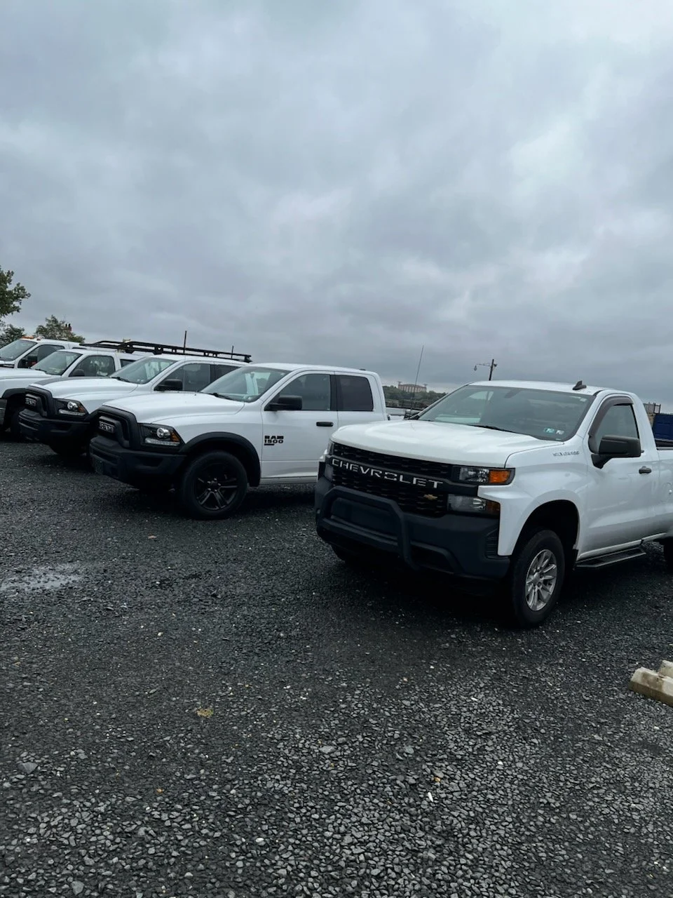 A row of white pickup trucks parked on a gravel lot under a cloudy sky.