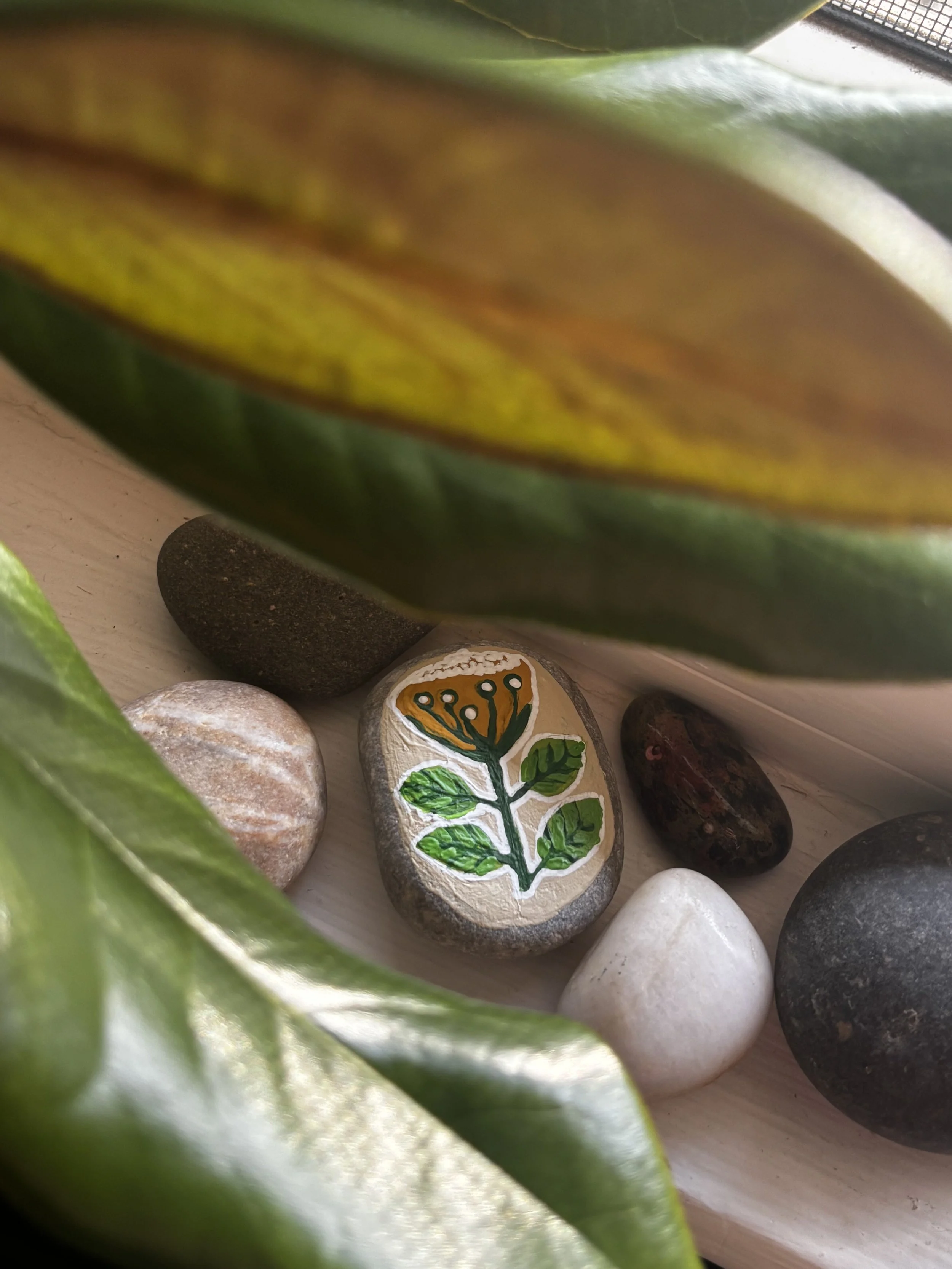 jonquil kindness stone