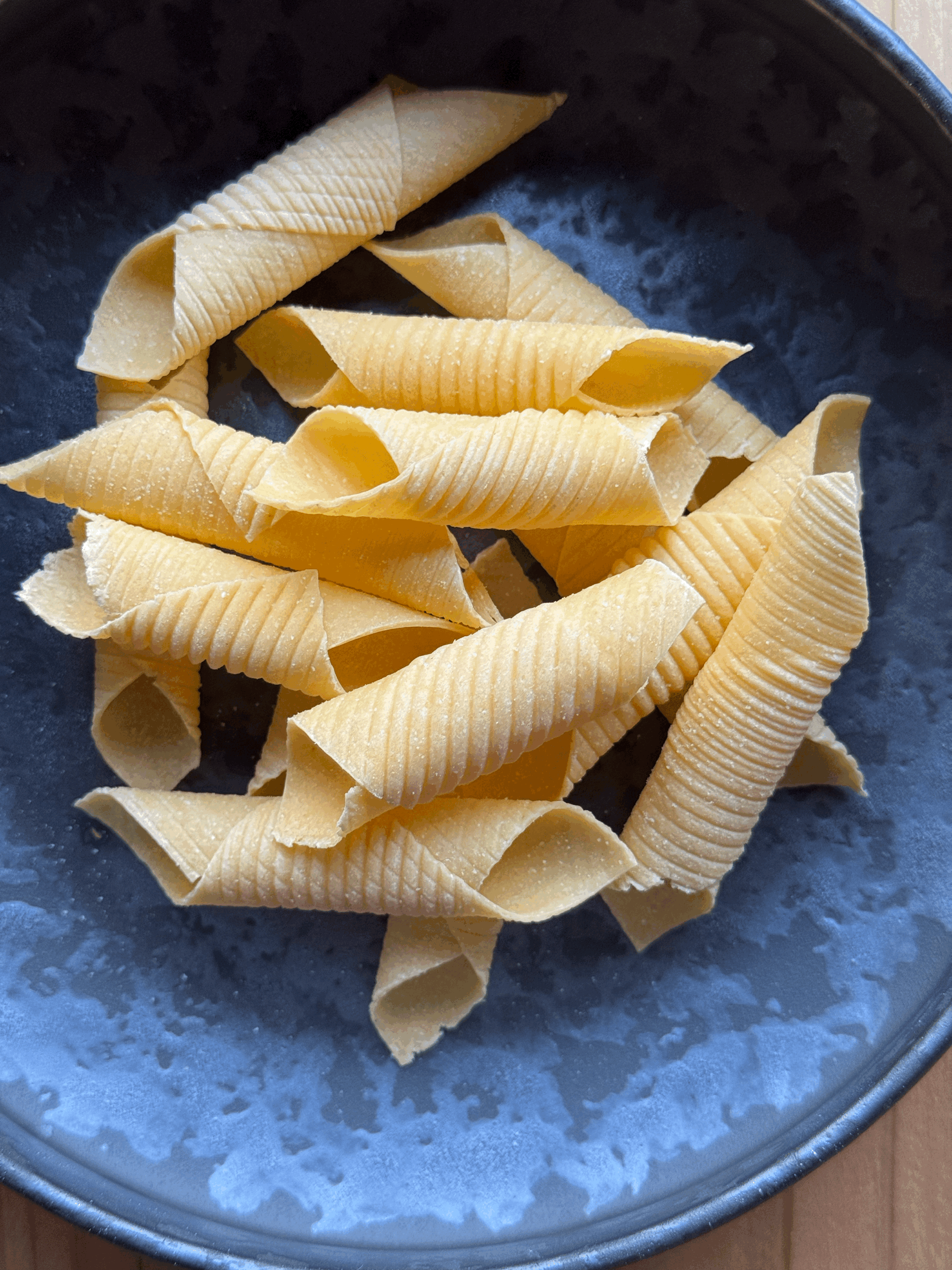 Garganelli　生パスタ　90g