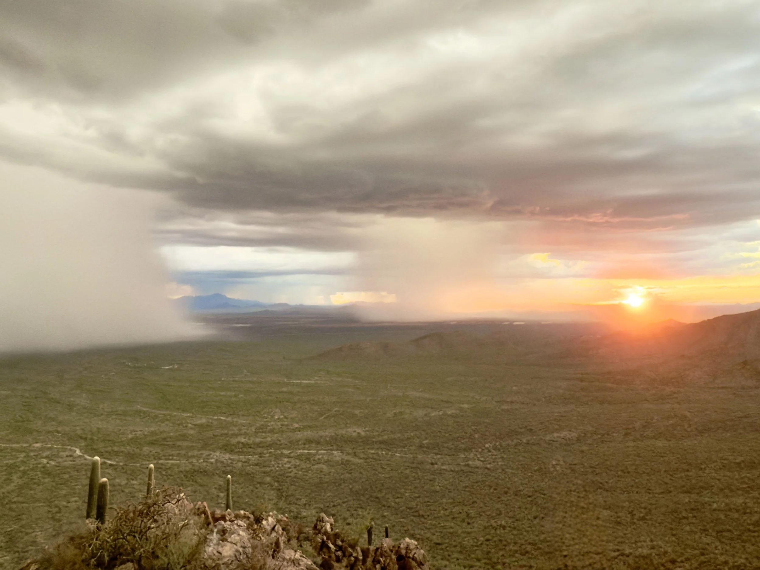 22 Monsoon.jpeg