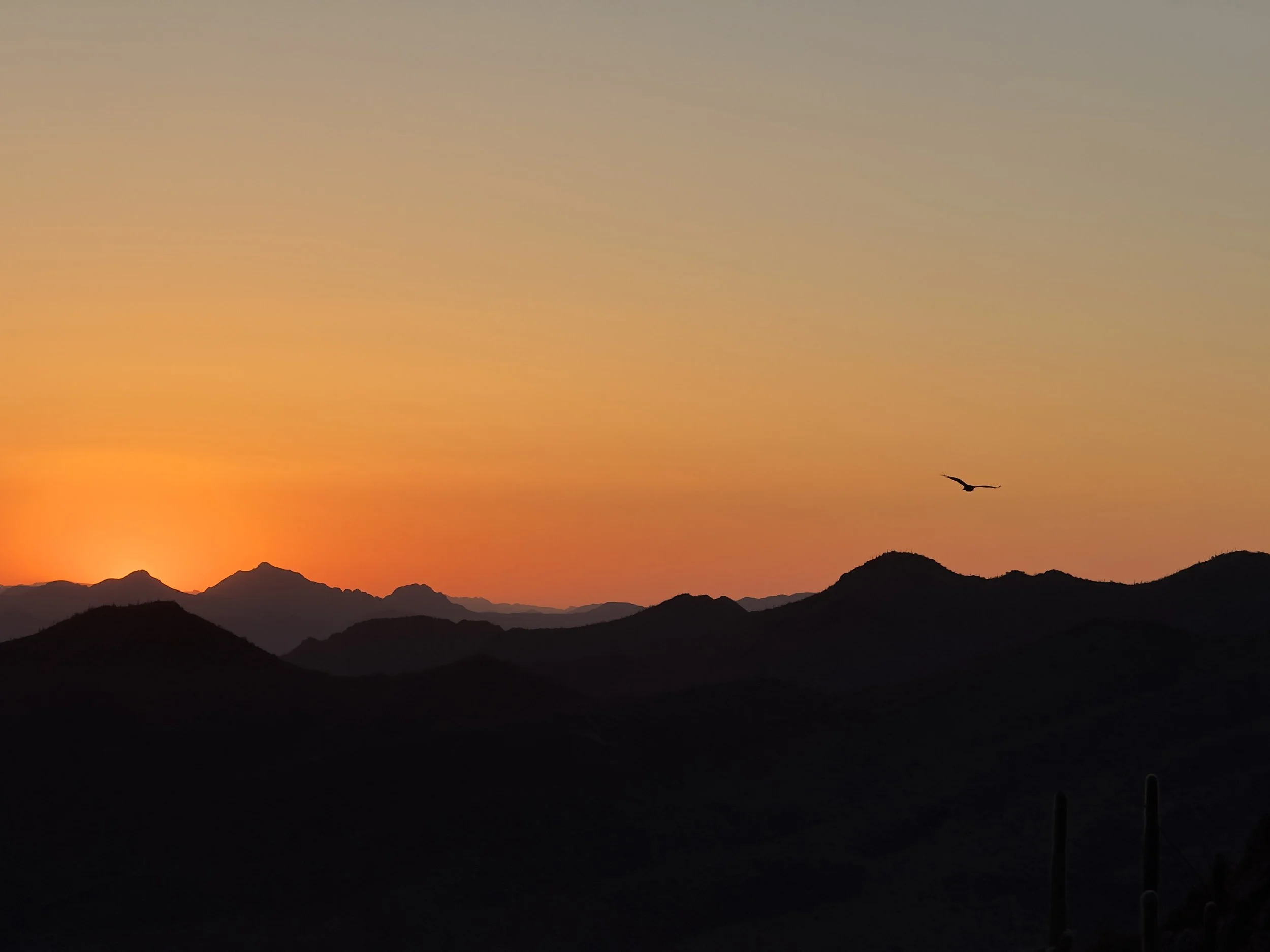 15 Sunset.jpeg