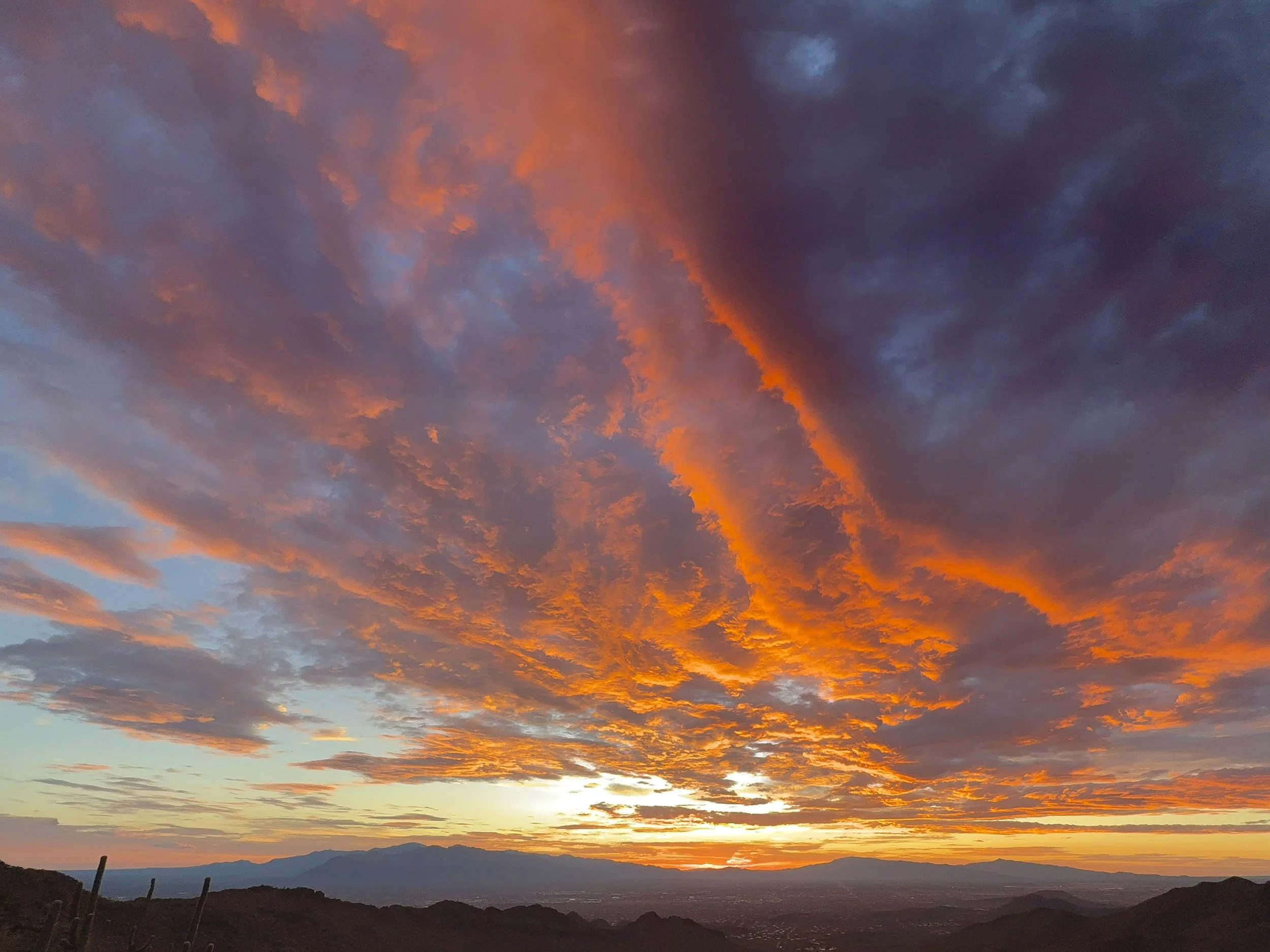 8 Sunrise.jpeg