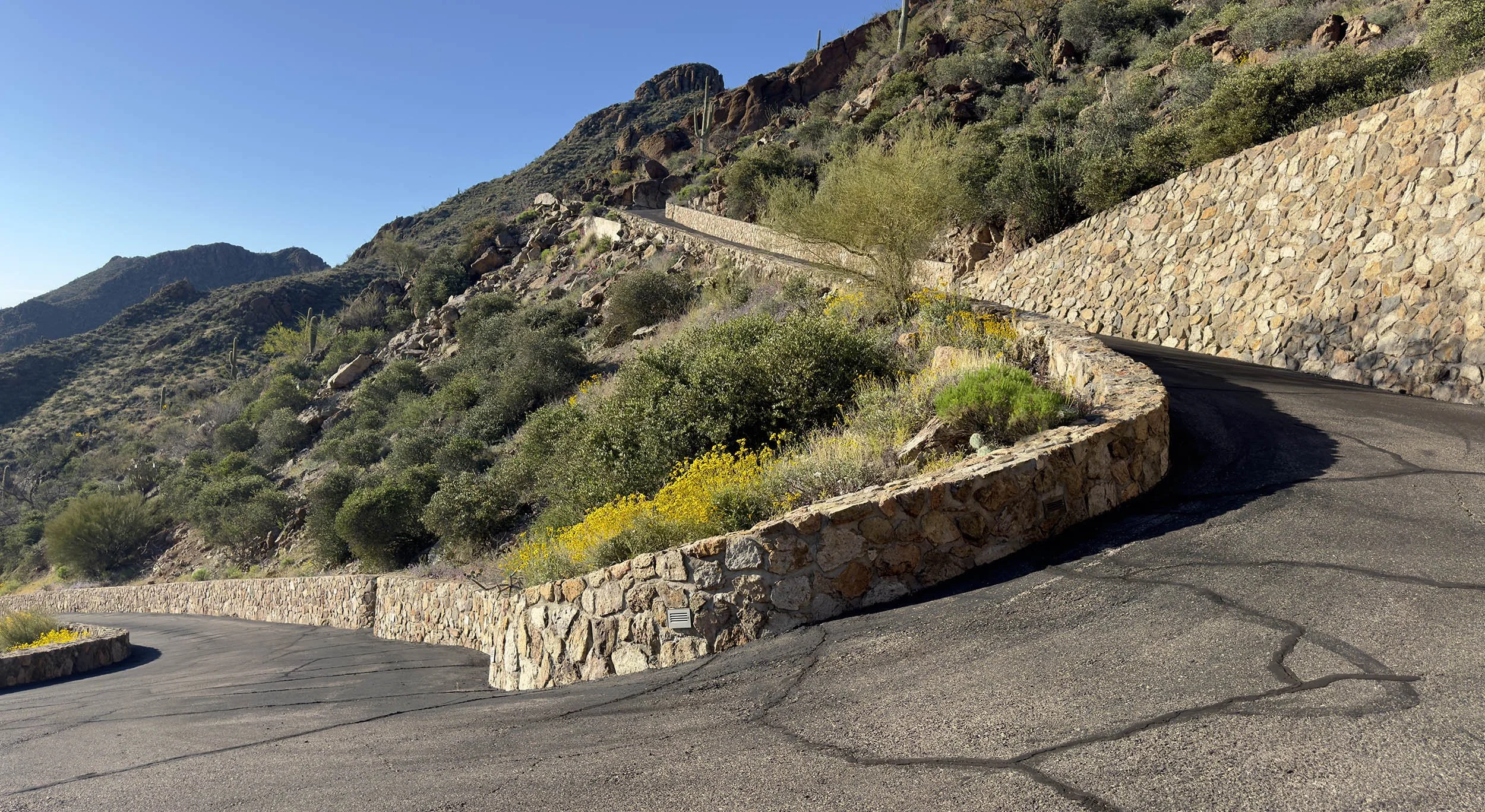 A winding mountain road with a stone retaining wall on the side, surrounded by desert vegetation including cacti and shrubs, with mountain hills in the background under a clear blue sky.