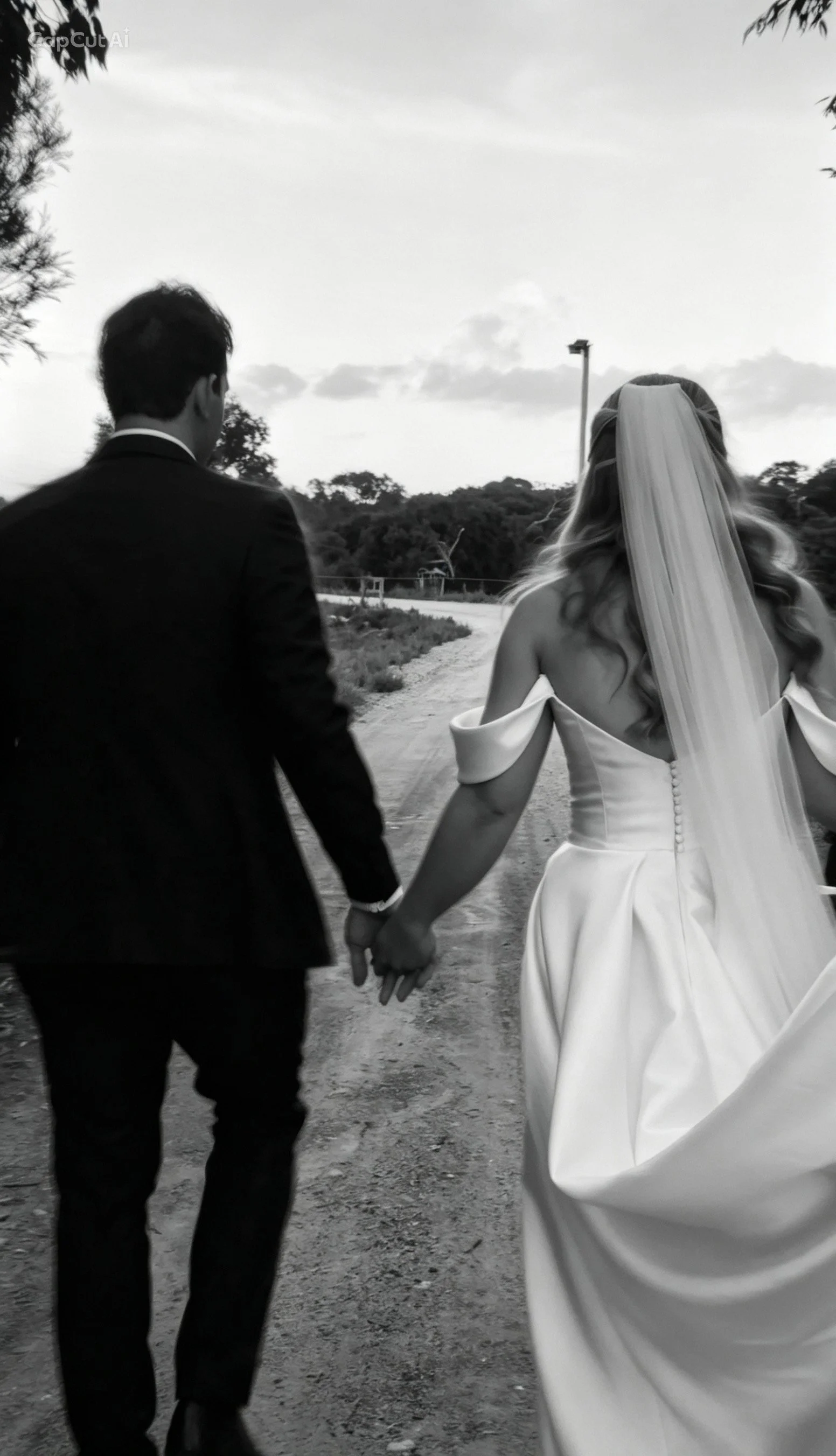 A bride and groom walking hand in hand outdoors on a dirt path, holding hands, with the bride in a white wedding dress and veil and the groom in a dark suit, seen from behind, with trees and clouds in the background.