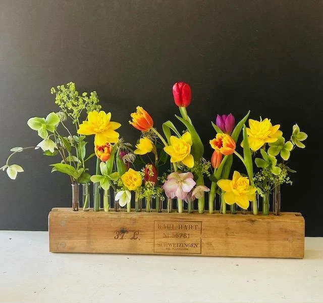 Tulips, Daffodils and Hellebores in test tubes in a wooden block