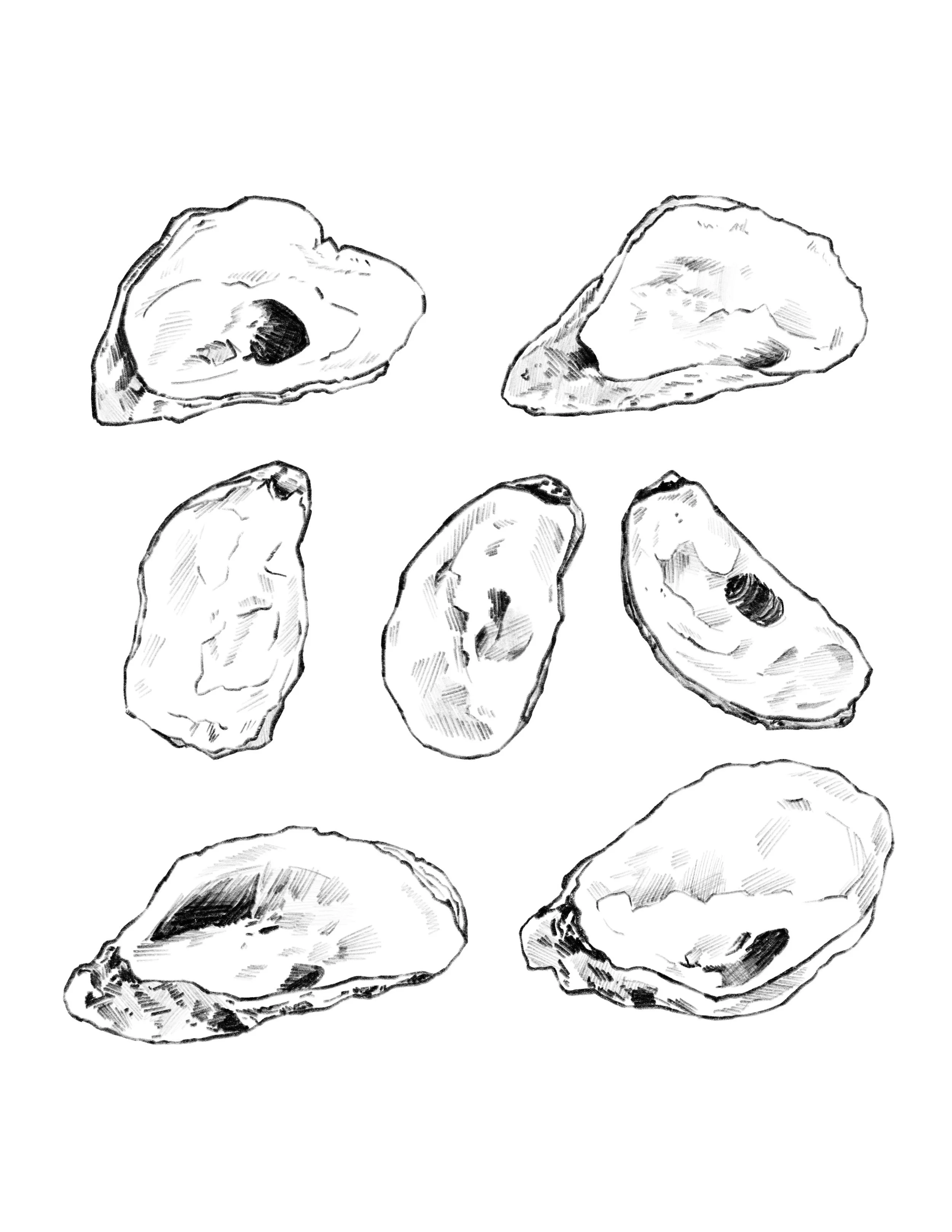 Notebook_Drawings.jpg