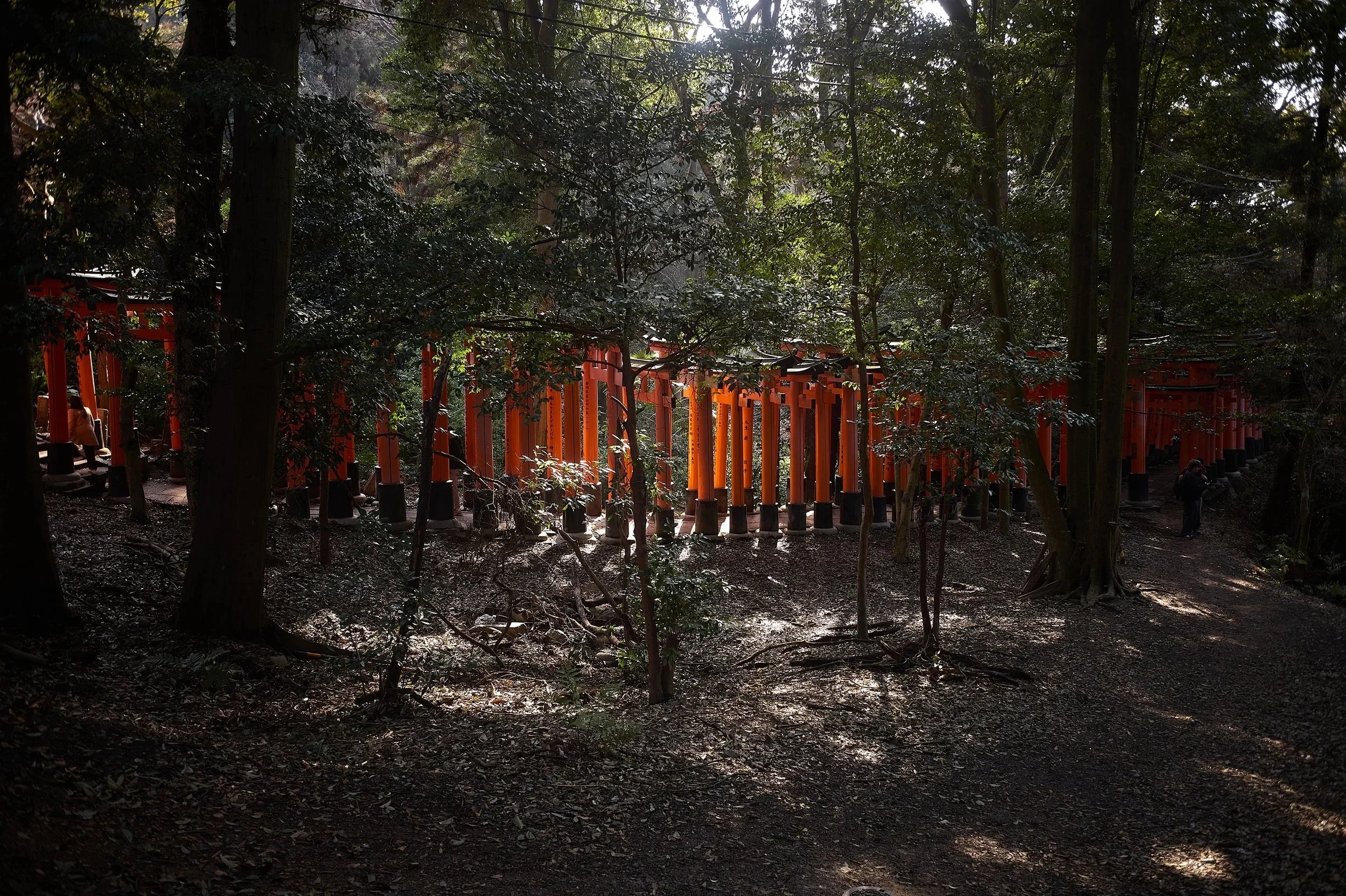 28mm Summaron avec SL2 //  400 ISO, f5.6, 1/60 ©Laurent Pidancet