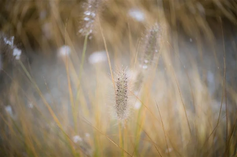 35mm Noctilux 1.2 avec M11-P // 250 ISO, f1.2, 1/350 ©Janina Von Rueden