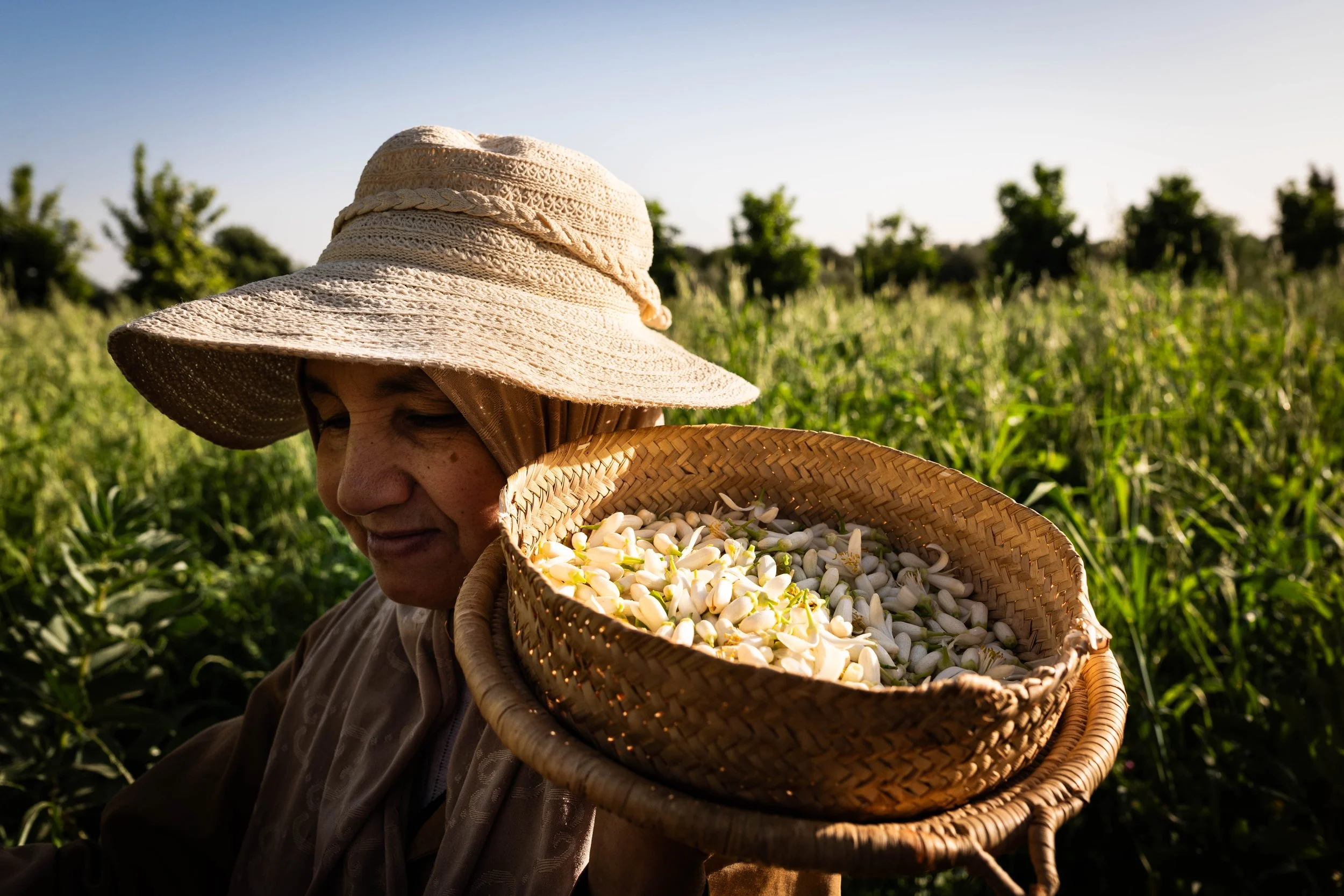 24-90mm SL avec SL3-S // 400 ISO, f4, 1/500 ©Thomas Vollaire