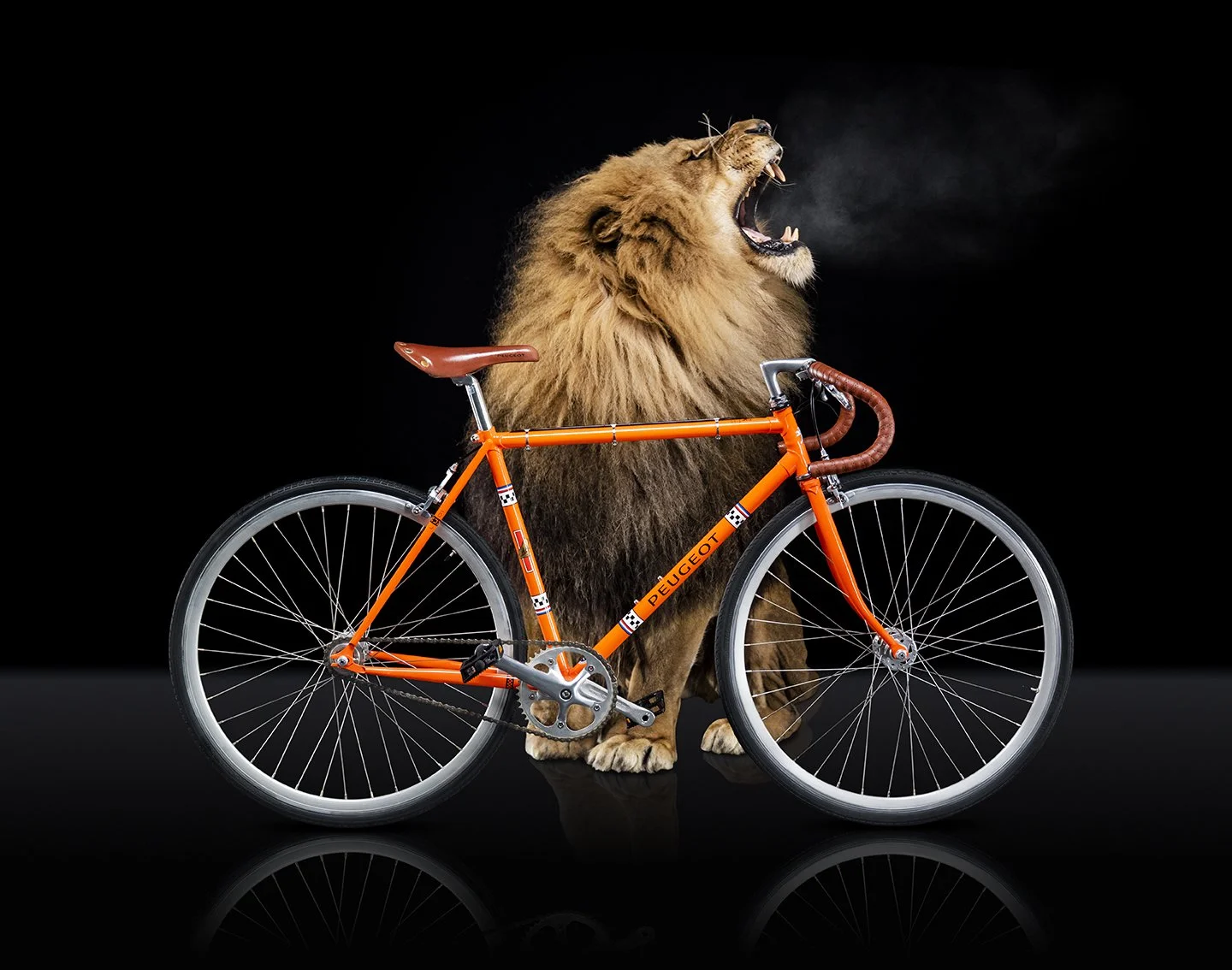 24-90mm SL avec SL2-S // 1000 ISO, f4, 1/500 ©Thomas Vollaire