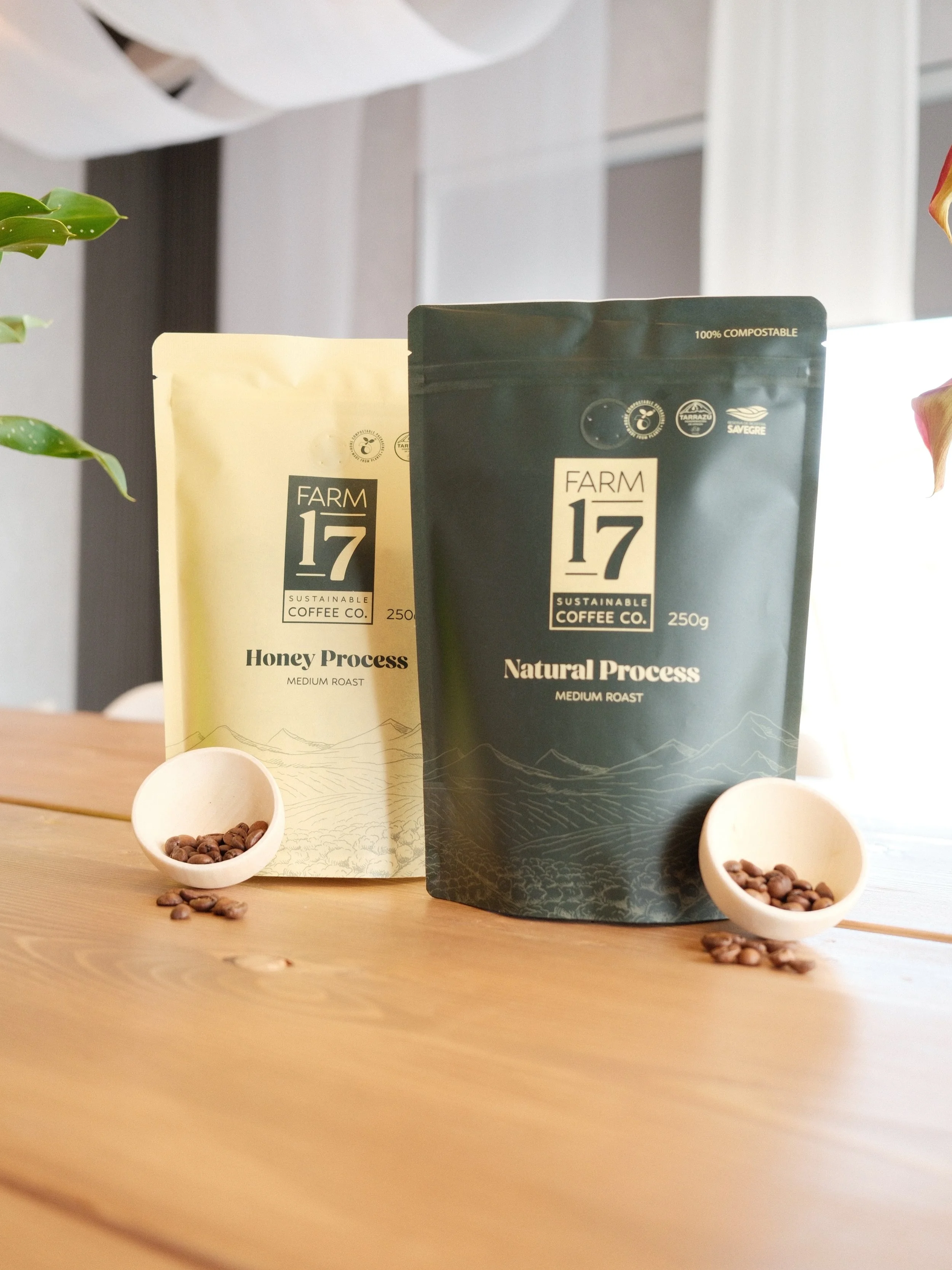 Meet the beans behind your brew ☕️

Our coffee beans are proudly from @farm17coffee &mdash; a collaboration between @sustainable_canadore and Green Communities Costa Rica, brought together by a shared commitment to sustainability, community, and posi