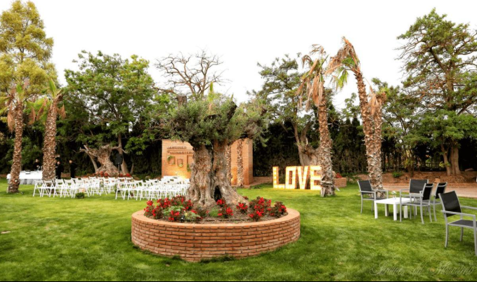 Boda en san martin del tesorillo.png