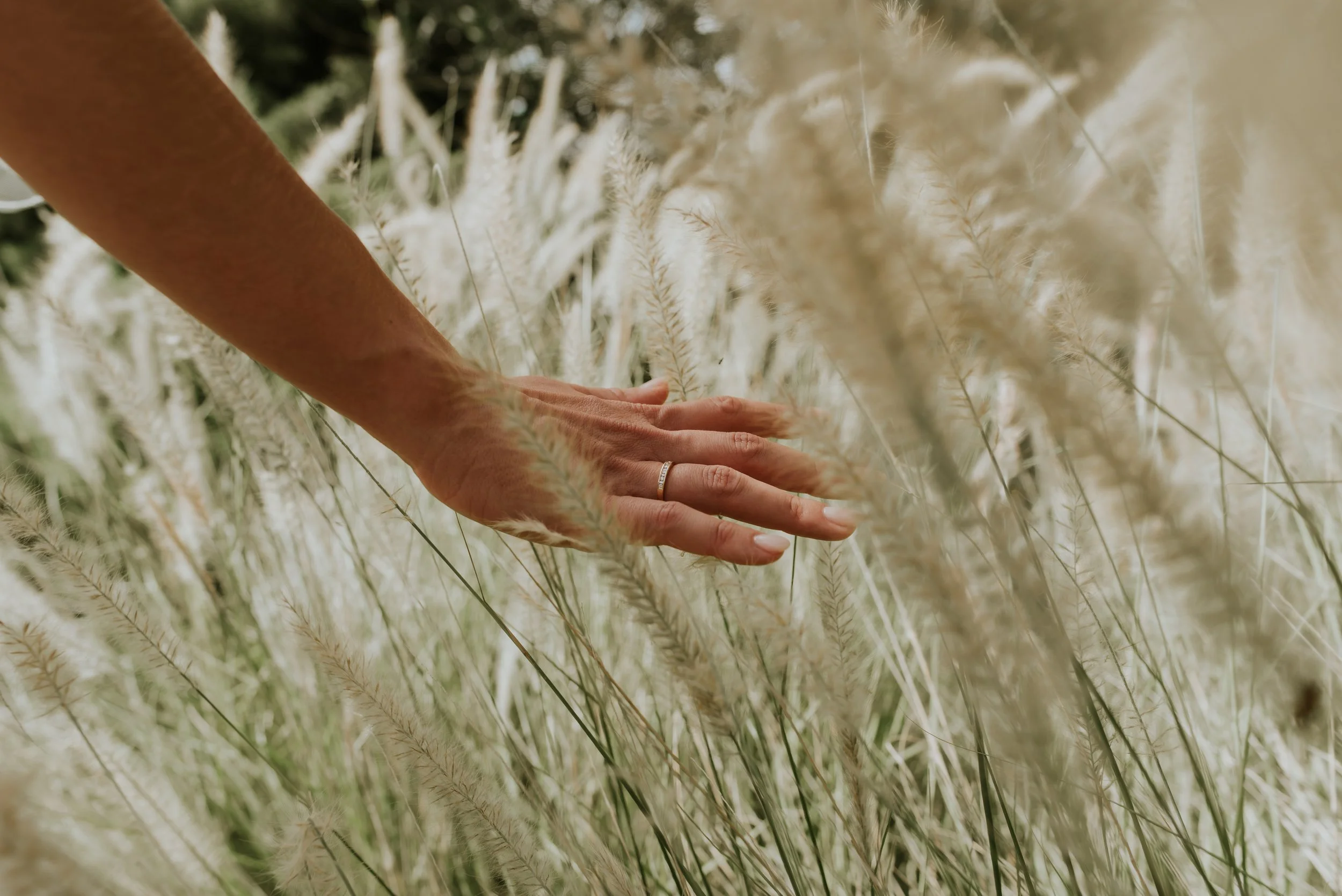 Mano entre plantas al atardecer sesión preboda en Cádiz