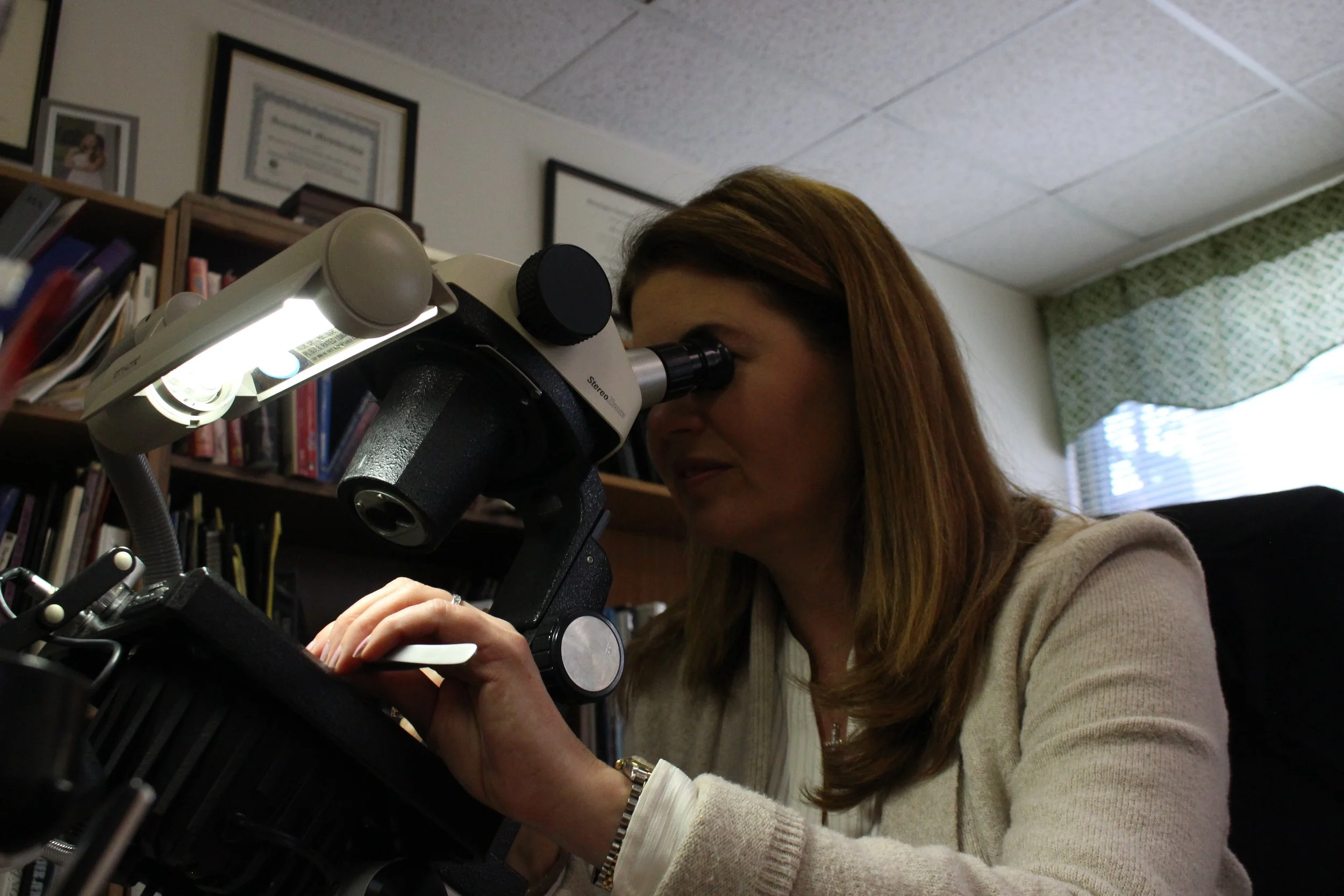 A woman with long brown hair looking into a microscope in an indoor setting, with shelves of books and framed certificates on the wall behind her.